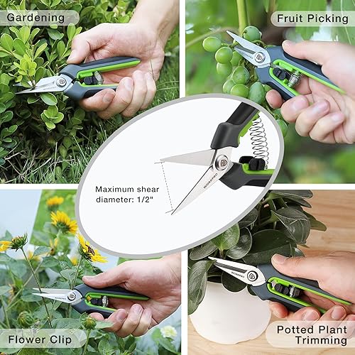 Miniatura 6 de WORKPRO Paquete de 2 tijeras de podar de jardín con funda, podadoras de mano pequeñas de 6.5 pulgadas, cortadoras de tijeras, cuchillas rectas con