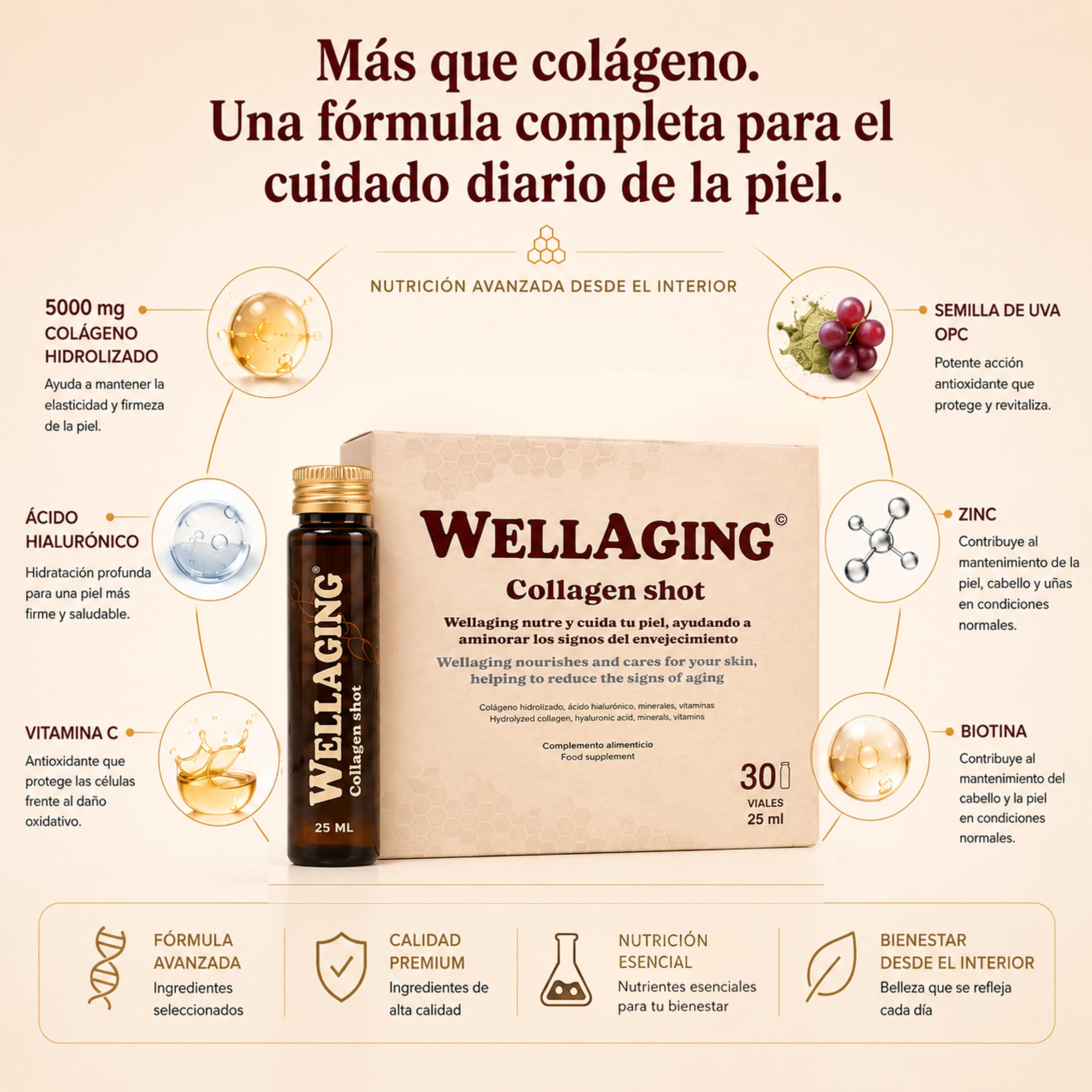 WellAging 30 Viales Colágeno Bovino Hidrolizado Tipo 1 5000 mg con Ácido Hialurónico, Vitamina C, Zinc y Biotina · Colageno Bebible Liquido · Piel, Cabello, Uñas y Articulaciones · Fabricado en España