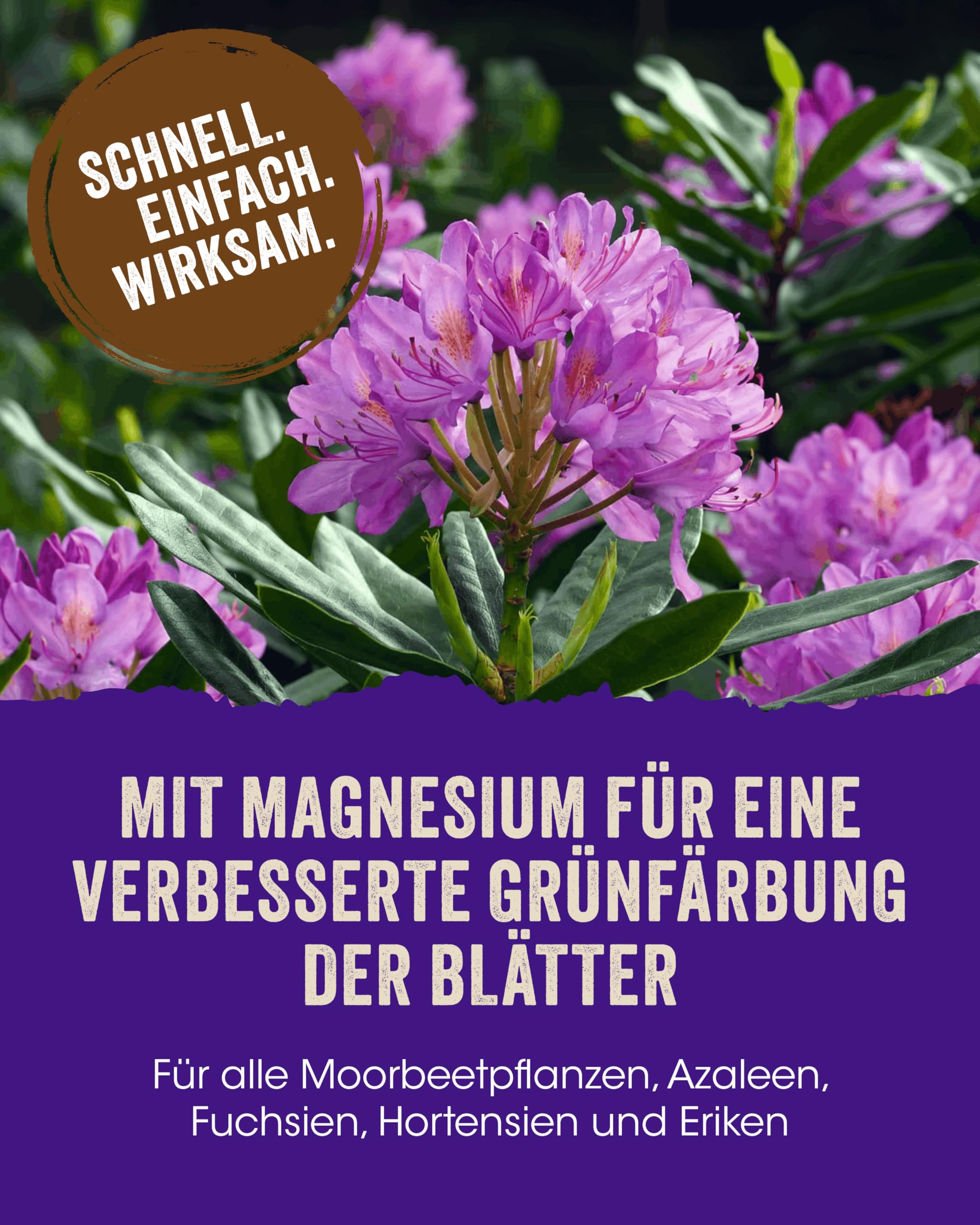 Allflor Rhododendrondünger I 10 x 2,5 Kg I Organisch-Mineralische Nährstoffkombination für Moorbeetpflanzen I Rhododendron Dünger in der Faltschachtel I Magnesium-betontes Düngemittel