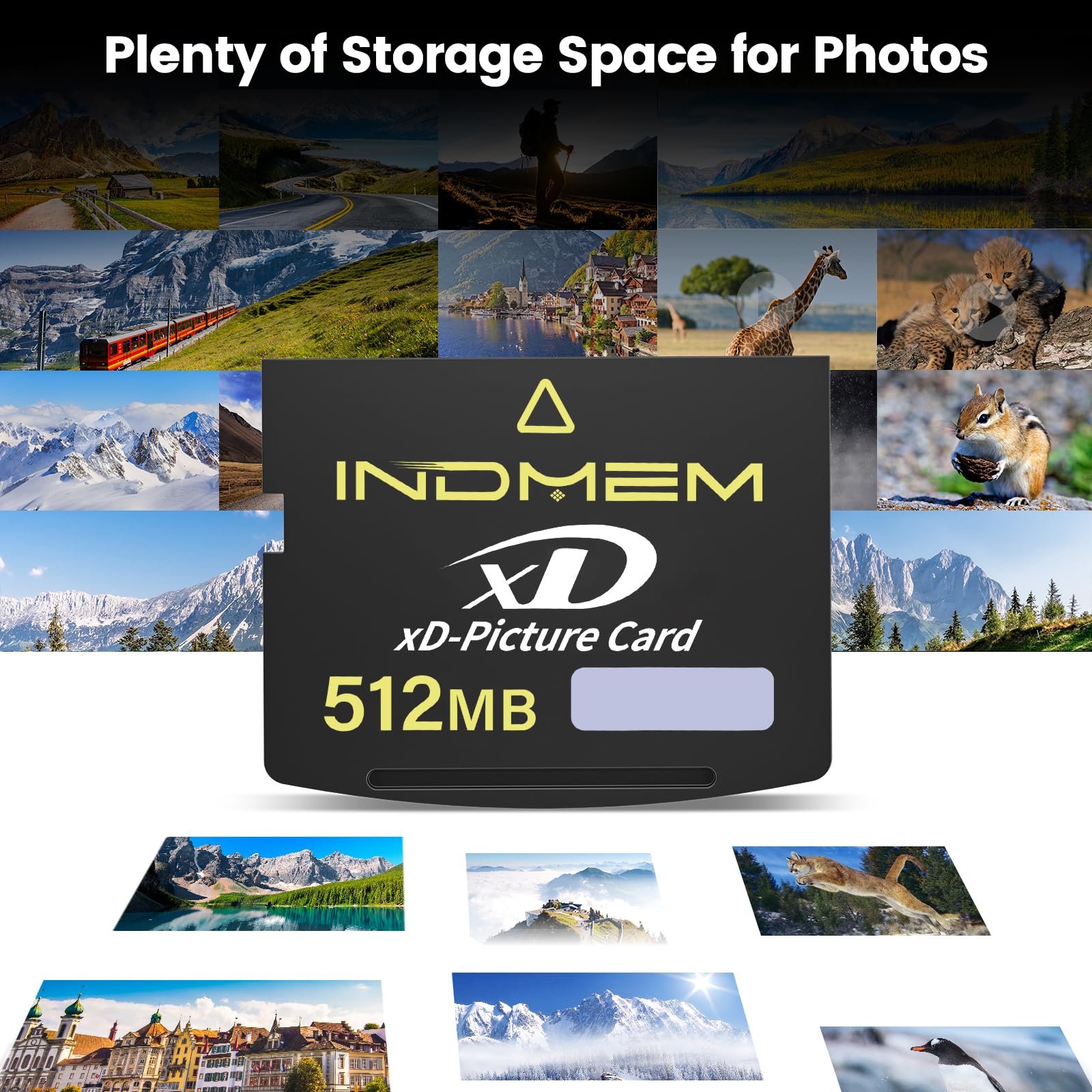 Amazon.com: xD Picture Card 512MB -Tpye Standard, xD Cards 512MB