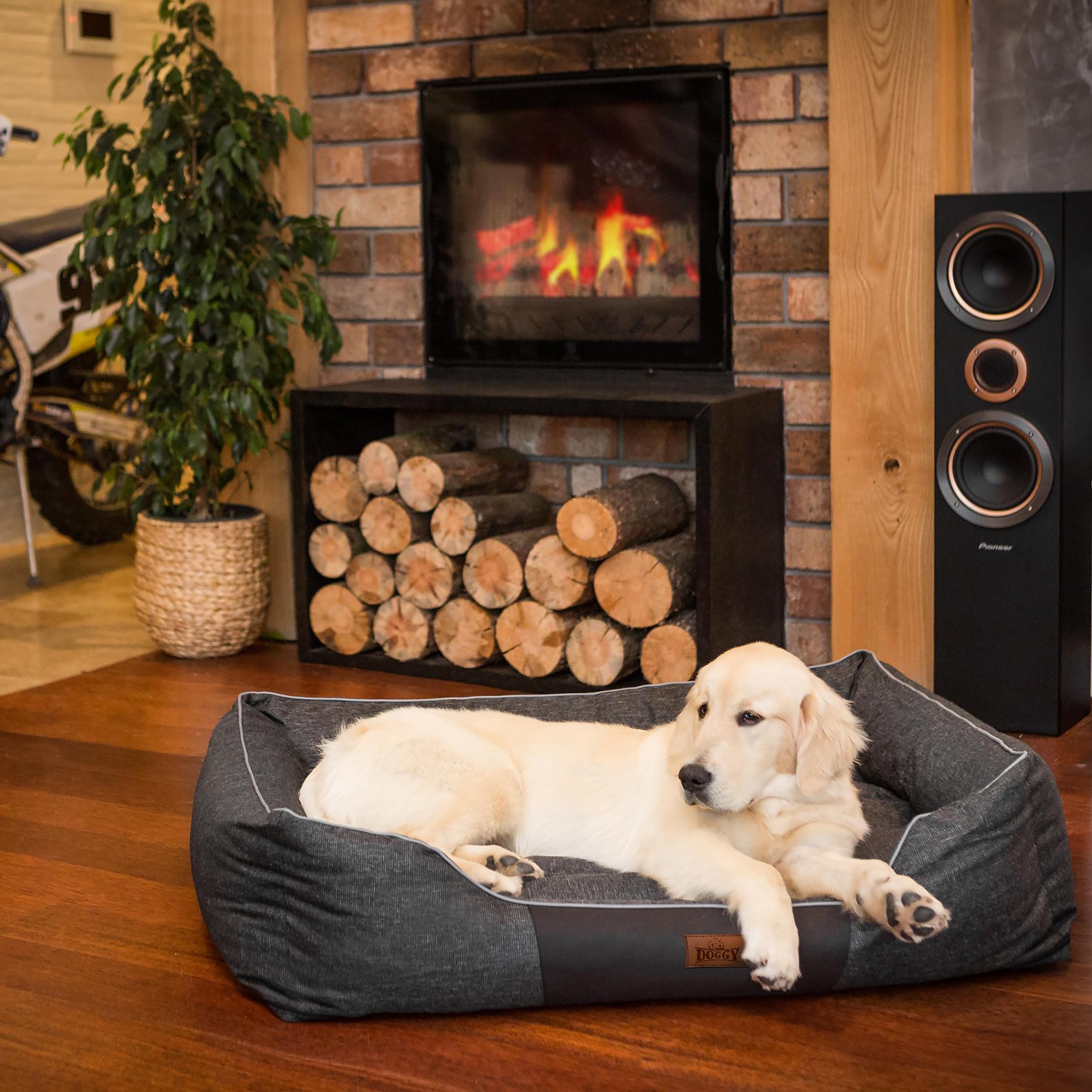 Cuccia per animali domestici, cuscino per cani, lettino, cuscino per cani, letto per cani, letto per cani, letto per animali domestici, materasso XL – 65 x 50 cm, colore nero ecologico