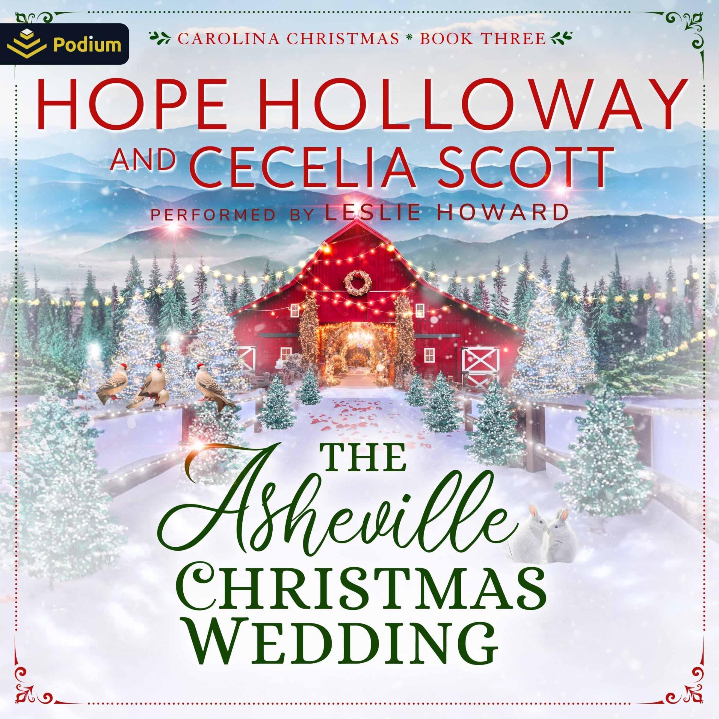 The Asheville Christmas Wedding