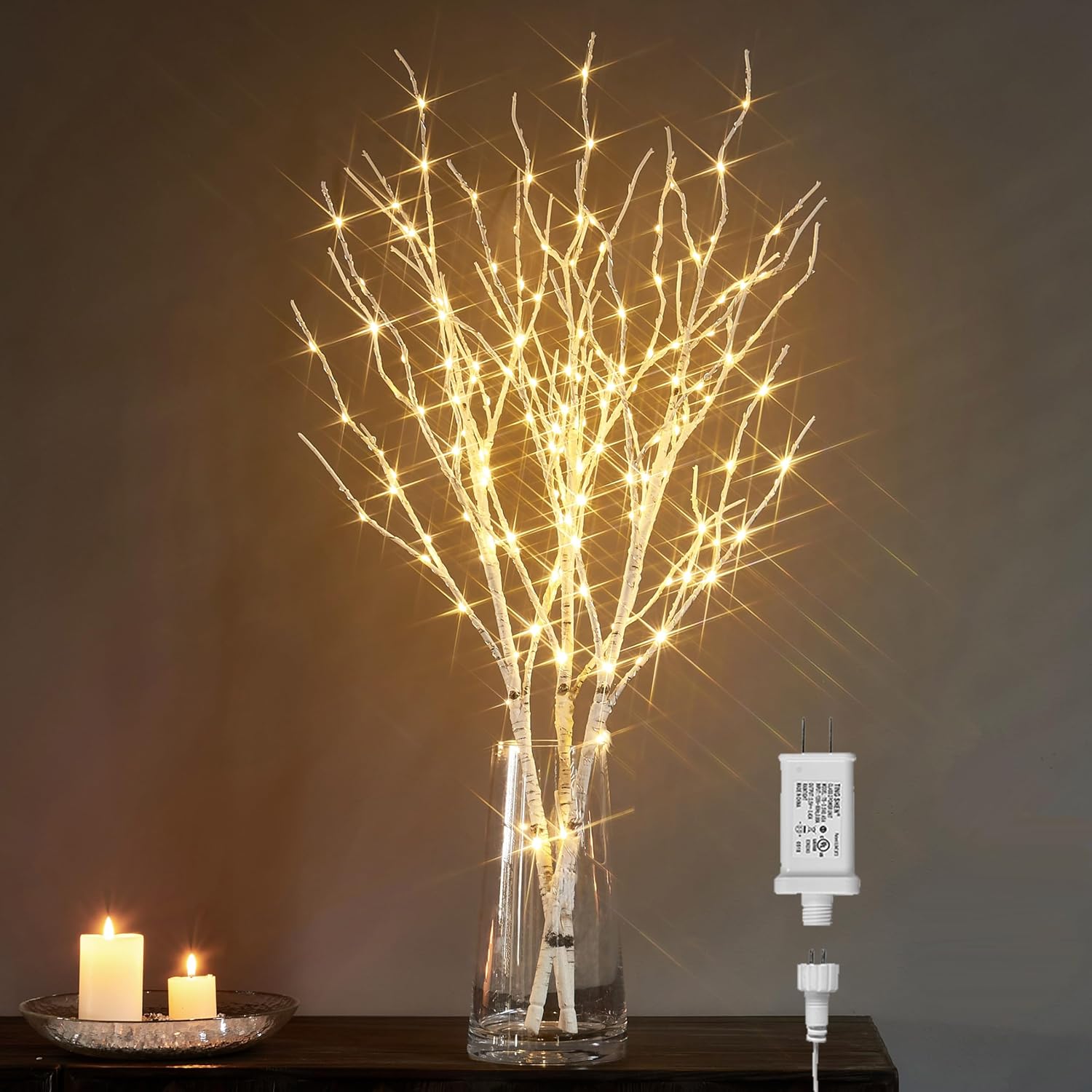 LITBLOOM Lighted White Birch Twig Branches 30IN 150 LED Plug in with Timer and Dimmer, Artificial Tree Branch with Lights for Indoor Outdoor Home Christmas Room Decoration 150L White Birch