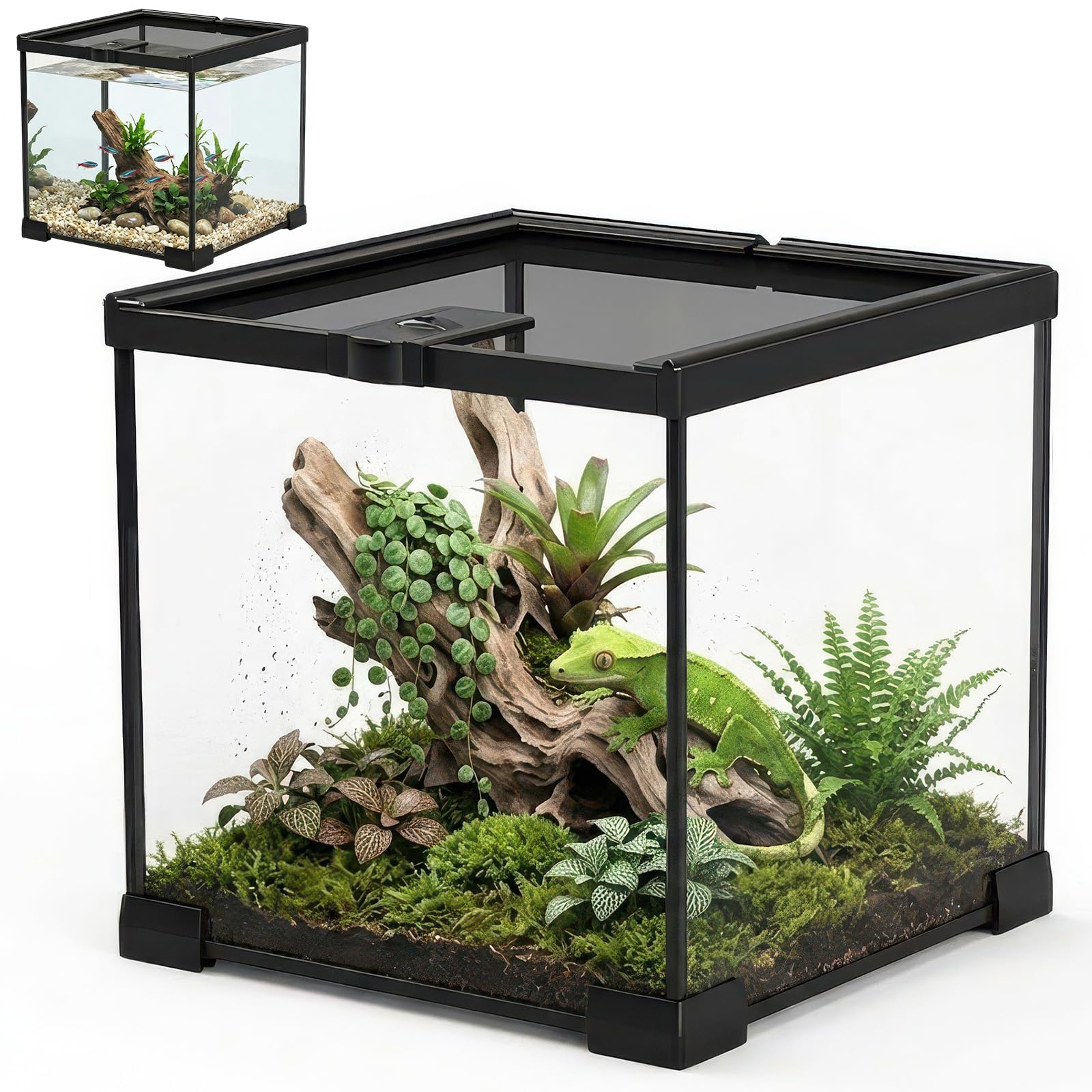 Amazon | ガラスケージ 爬虫類・小動物用 20×20×20cm 超白ガラス 360