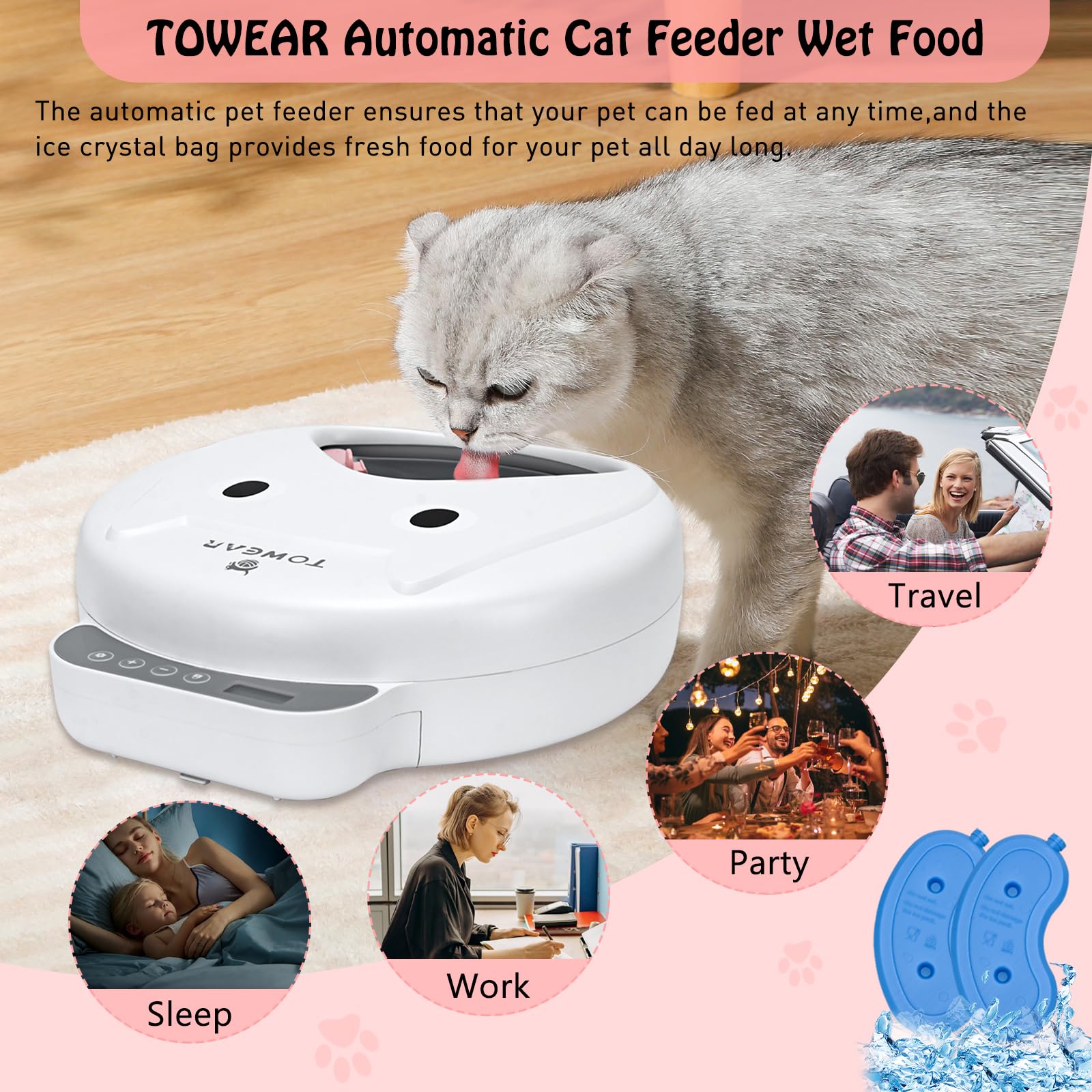 Comedero automático para gatos con pantalla digital, comedero para gatos y perros con temporizador digital para alimentos húmedos o secos para mascotas, 4 compartimentos de alimentos para 240 ml cada