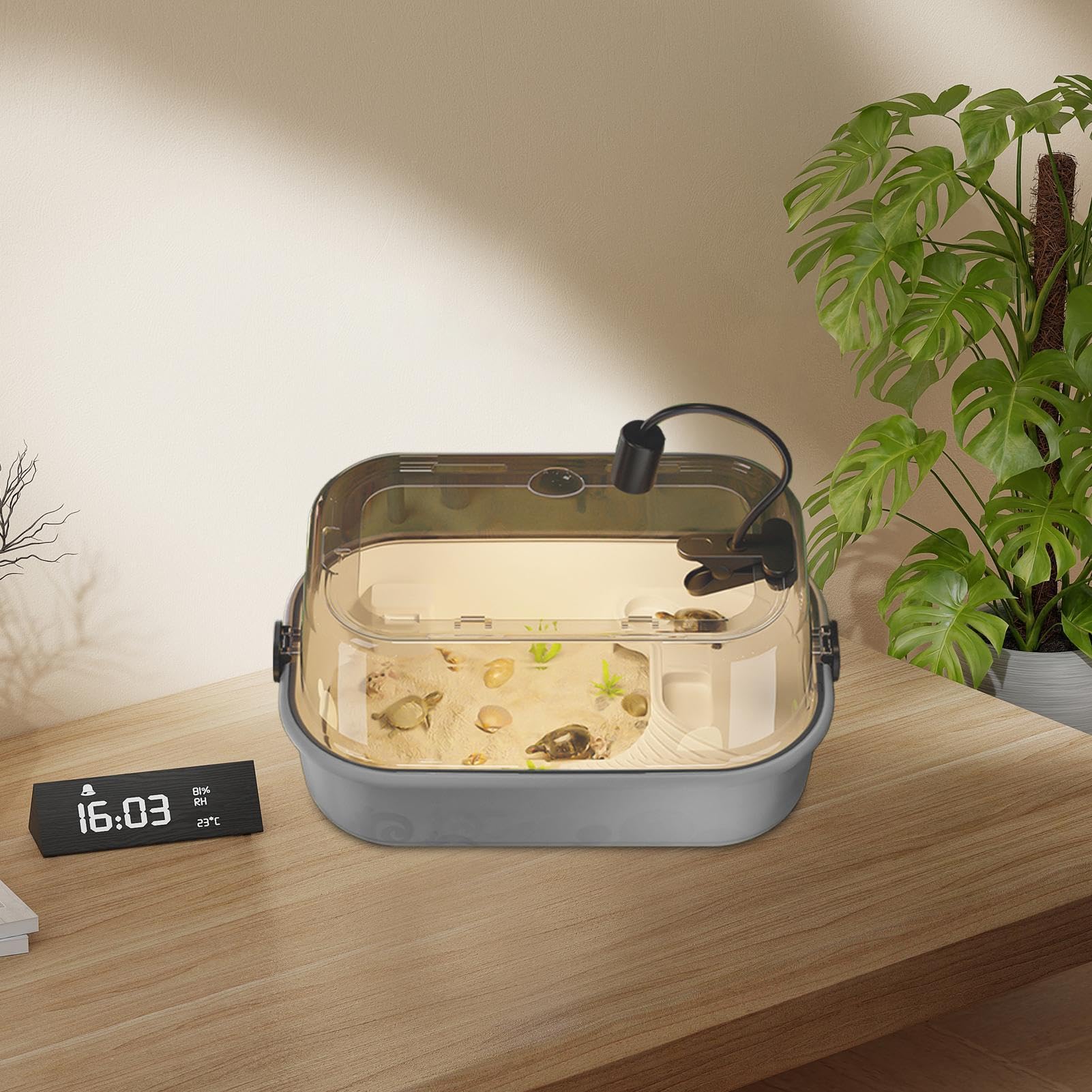 Schildkröten-Terrarium-Set | Vollsicht-Aquarium-Starter-Set, Bodenablauf, Sonnenstufe, multifunktionaler Lebensraum für Krabben, Krebse