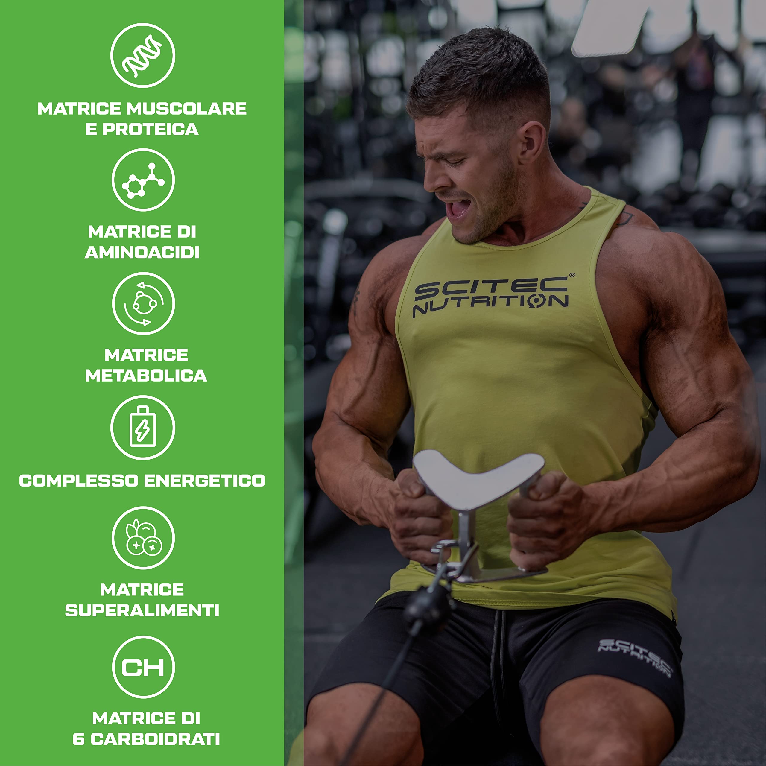 Scitec Nutrition Jumbo - Integratore di peso ad alto contenuto calorico - con proteine multicomponenti - matrice di aminoacidi - matrice metabolica - miscela di superalimenti, 1,32 kg, Cioccolato