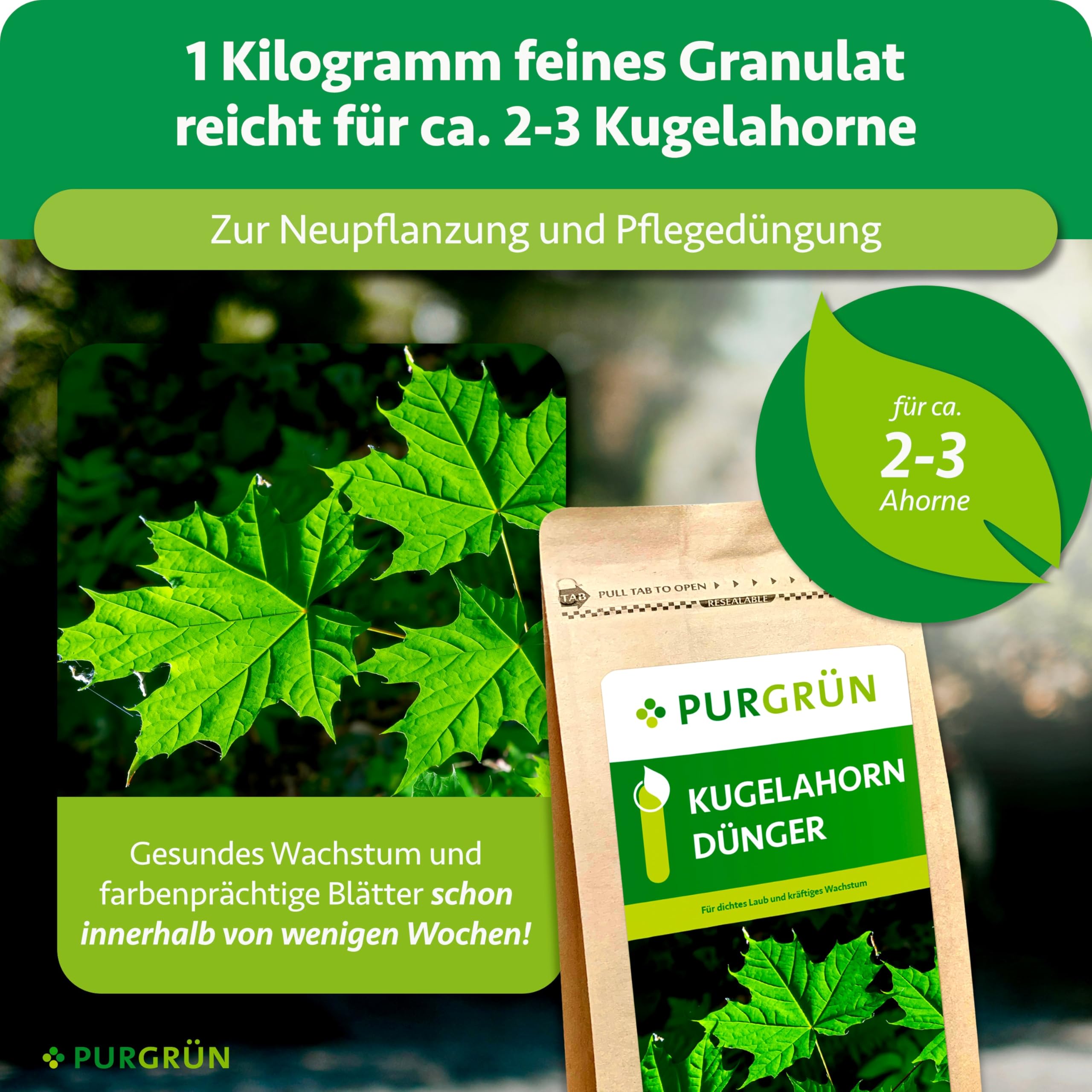 Kugelahorn-Dünger 1 kg – Organisch-mineralische Rezeptur – Feinkörniges Krümelgranulat – NPK 8+4+5 – Extra Magnesium für eine leuchtende Blattfärbung – Verbessert die Bodenqualität
