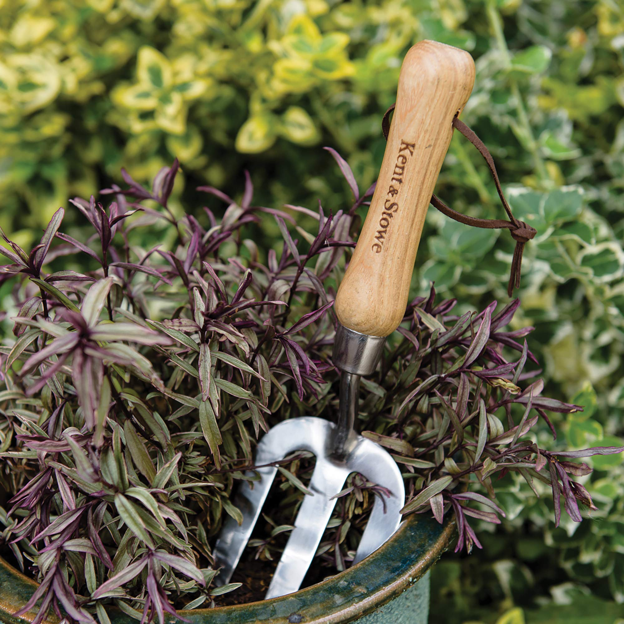 Forchetta Da Giardino Kent & Stowe - Acciaio Inox, Manico In Frassino, 58.5cm - Foto 4