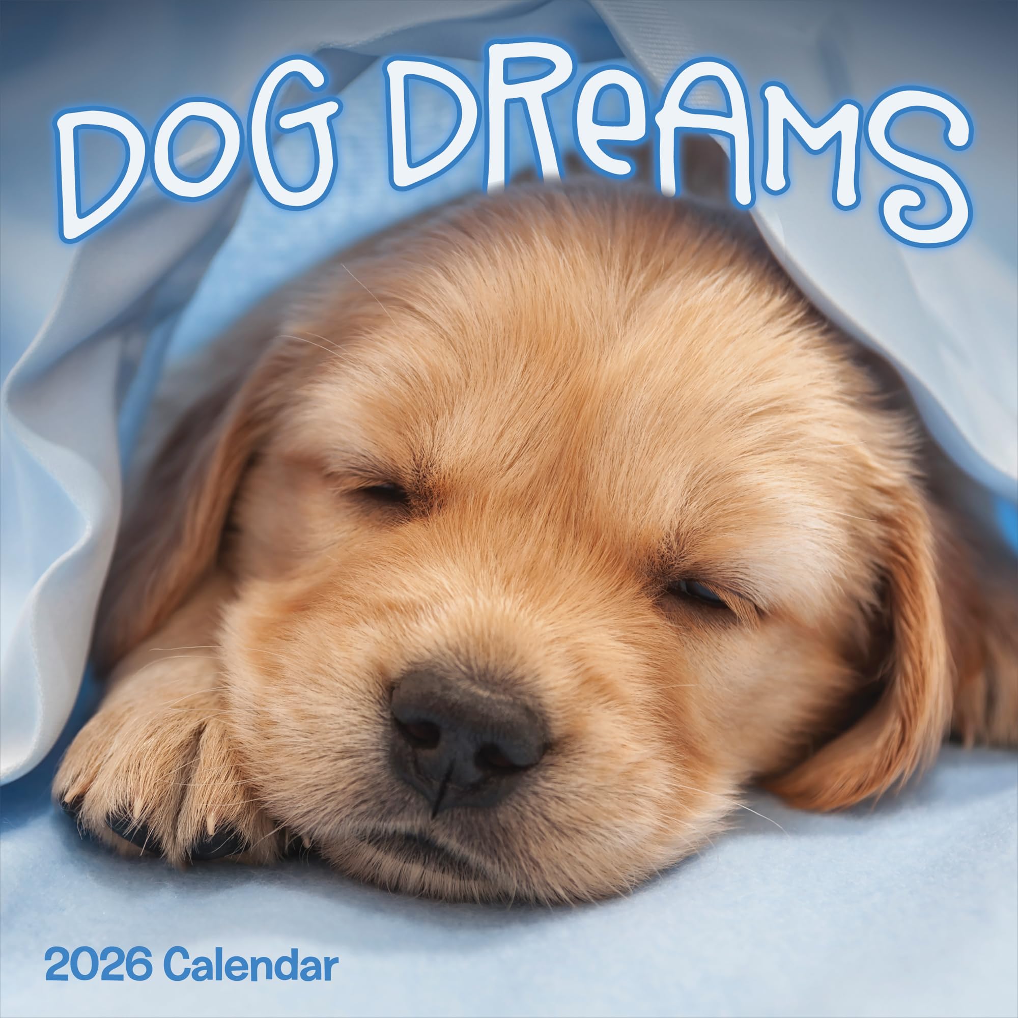 TF Publishing 2026 Dog Dreams Wall Calendar - Large Grids for Appointments and Scheduling - Vertical Monthly Wall Calendar 2026 with Premium Gloss Paper for Home and Office Organization - 12x12in