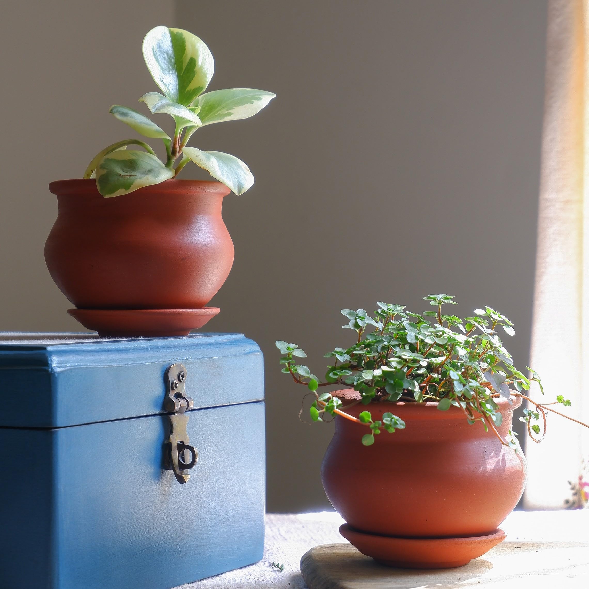 Prakrti Garden Boutique 4 inch Matka Terracotta Pot, Clay Pot,Earthen Pot for Cactus, Succulents, small Indoor Plants- Set of 2 (Product doesnt include plant) (B0D96KTQCD) Amazon Price History, Amazon Price Tracker