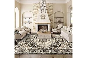 Washable Oriental Area Rug - 9 x 12 Carpet