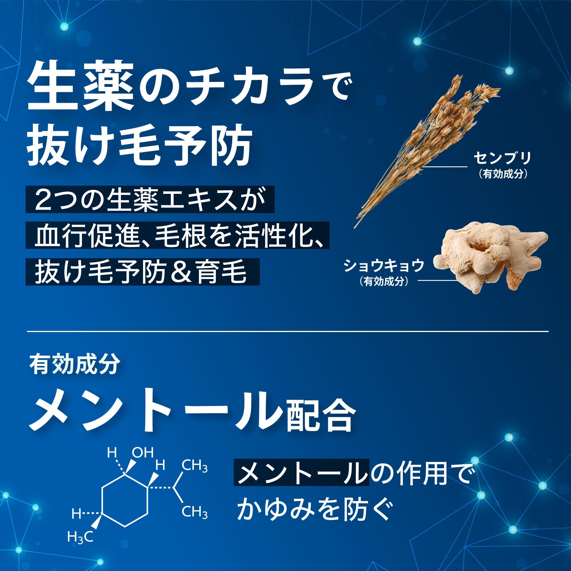 インセント薬用育毛トニック プレミアムクール(無香料) 男性向け 260g×2本