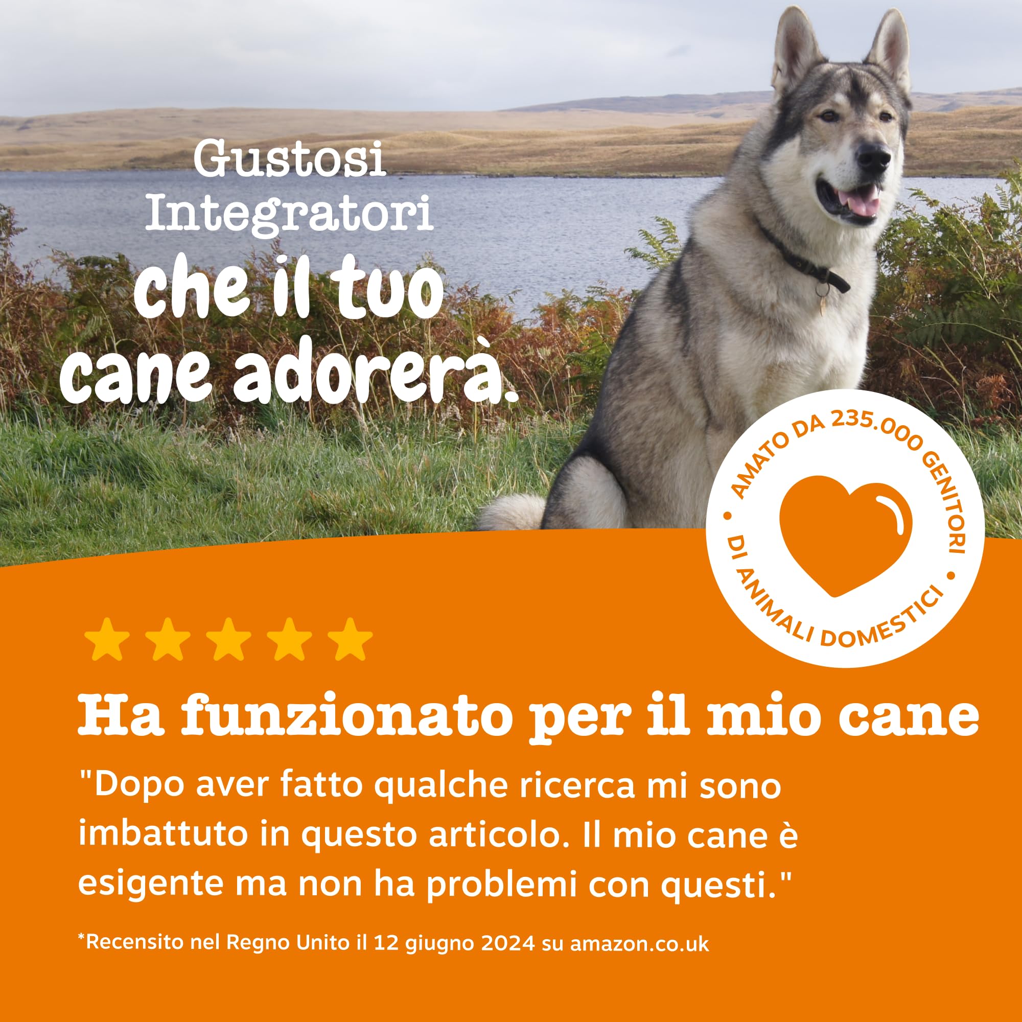 Zesty Paws Cranberry Urinary Care | Supporto delle Vie Urinarie | Integratori per Cani | D-mannosio, vitamina B6 e Exocyan | Alimento Complementare per Cani Adulti | Gusto Tacchino | 90 Pezzi