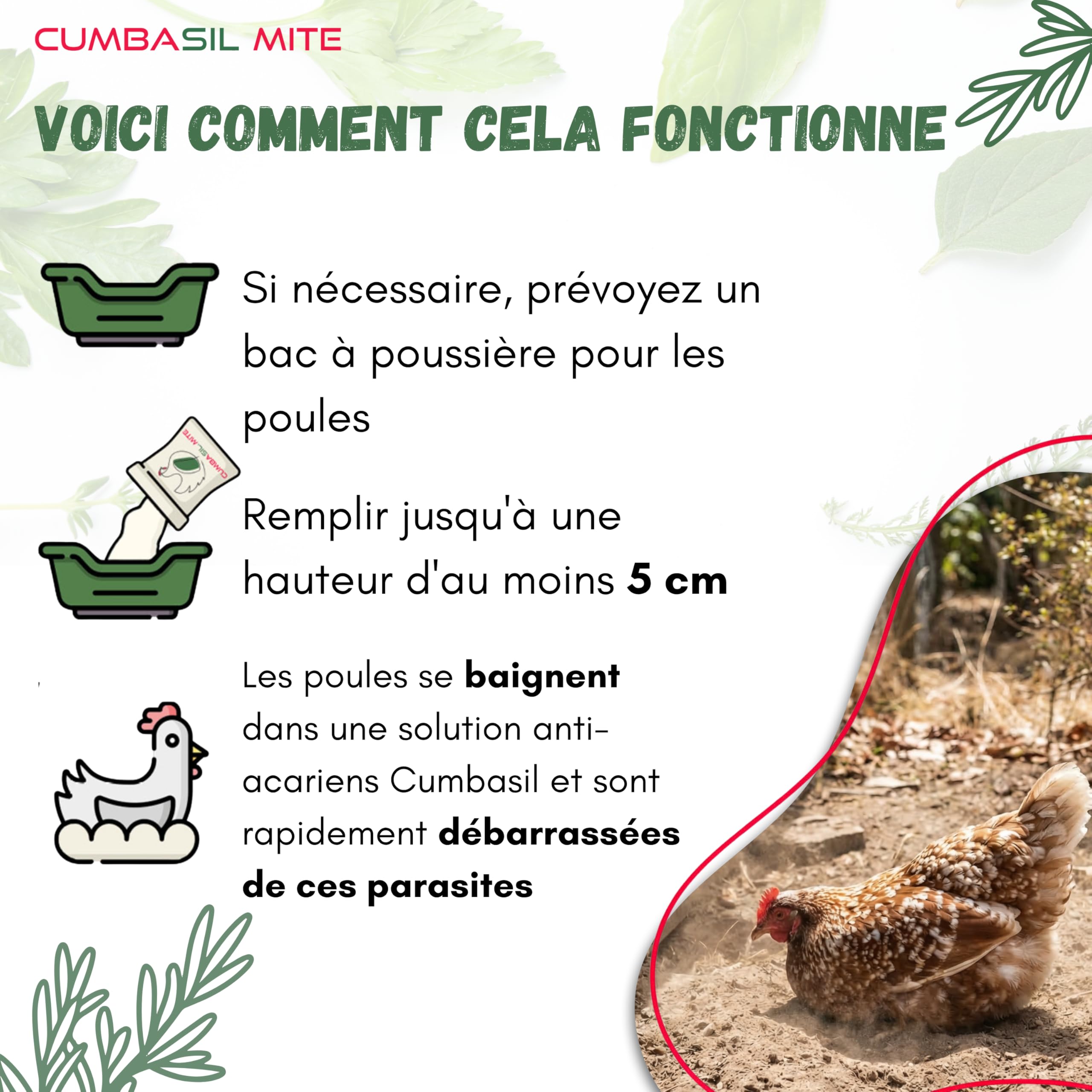 Mite Lot de 3 bains de poussière pour poules, 25 kg, poudre de bain de sable contre les acariens, anti-acariens, protection naturelle contre les acariens, poudre
