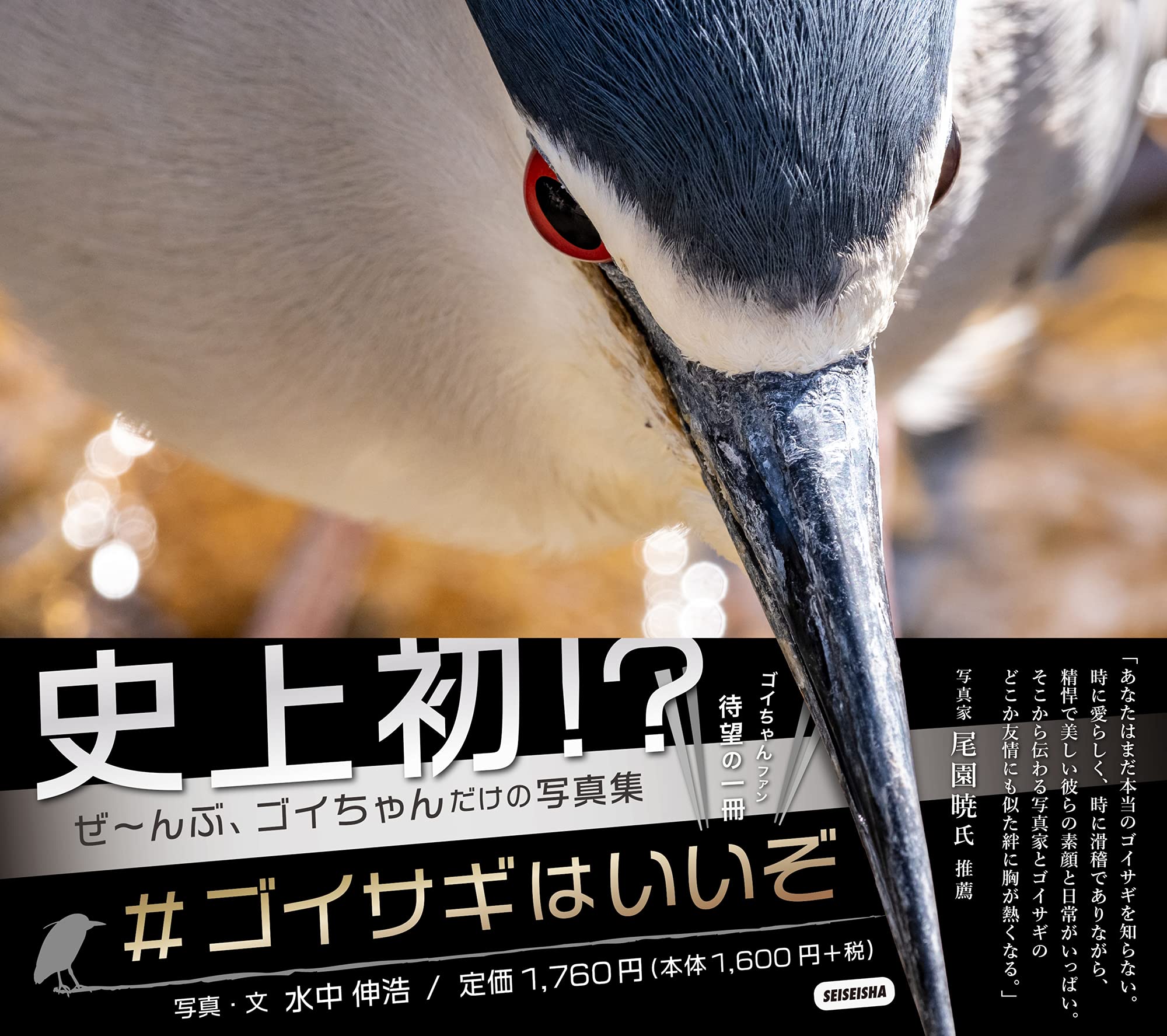 ゴイサギはいいぞ | 水中 伸浩 |本 | 通販 | Amazon