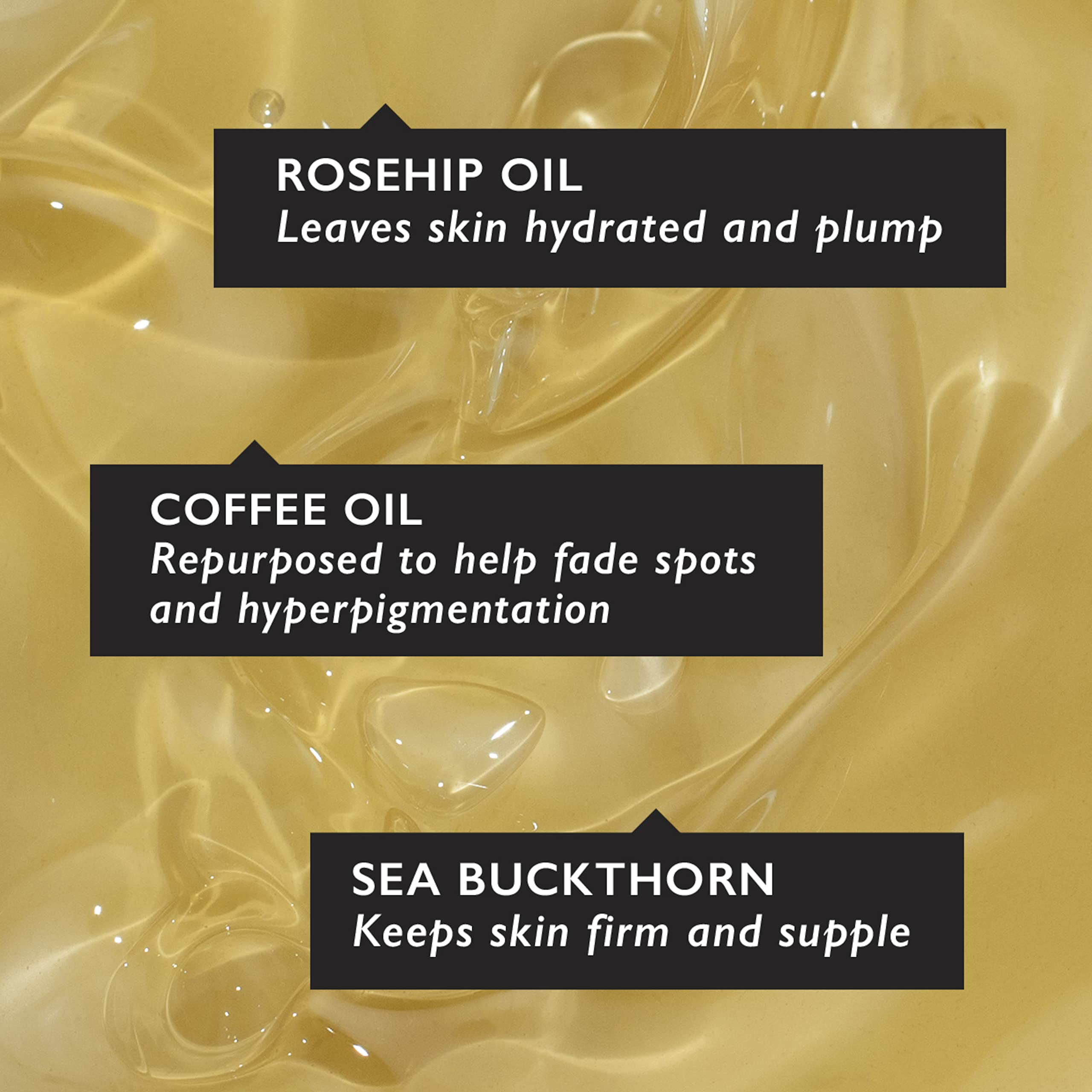 UpCircle Organic Face Serum with Coffee Oil, Vitamin C & Rosehip Oil