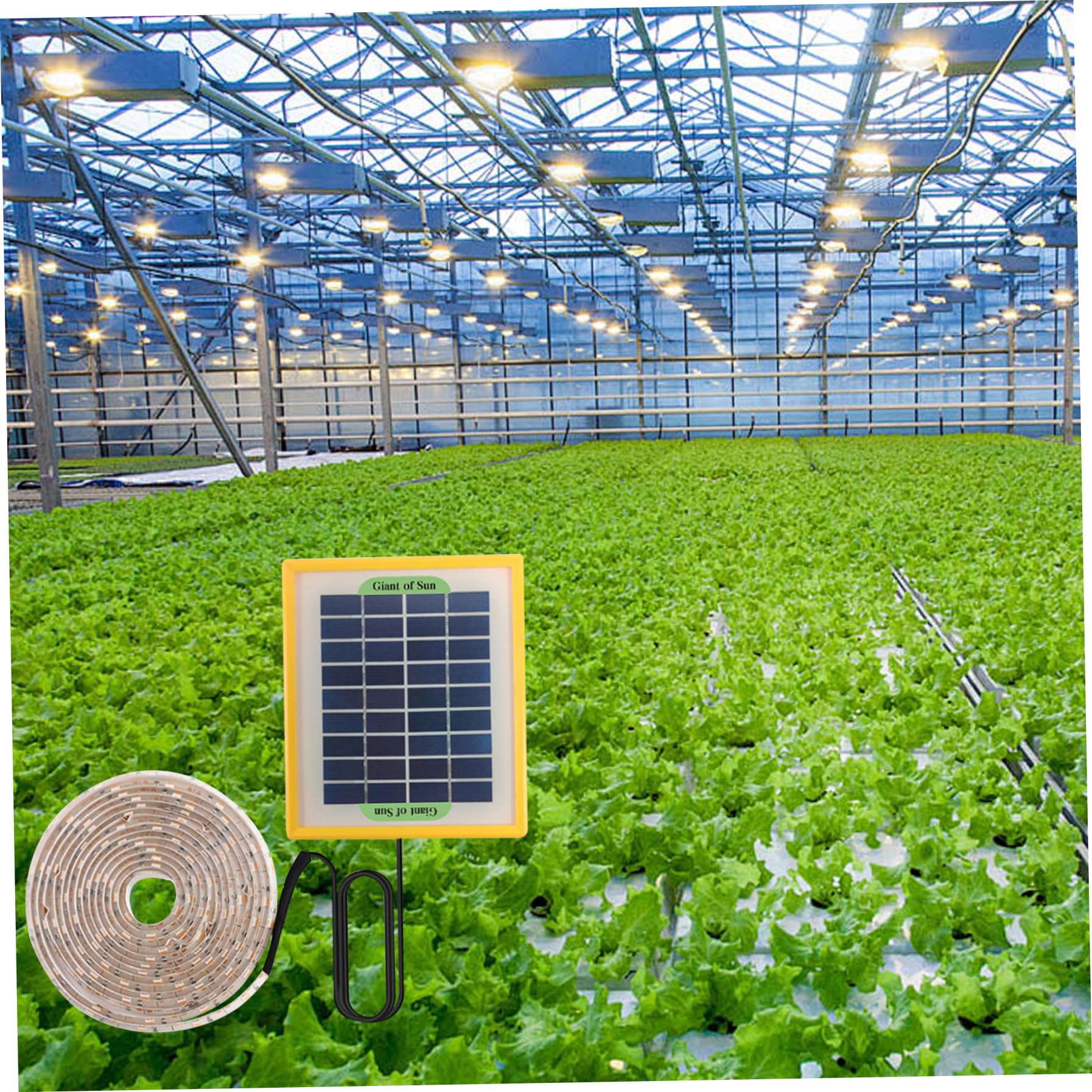Lampes De Culture Pour Plantes IntéRieur à éNergie Bande Lumineuse 5 M Spectre Complet Lampes De Culture Solaires Pour Serre Dissipation Rapide De La Chaleur Lampe Chauffante