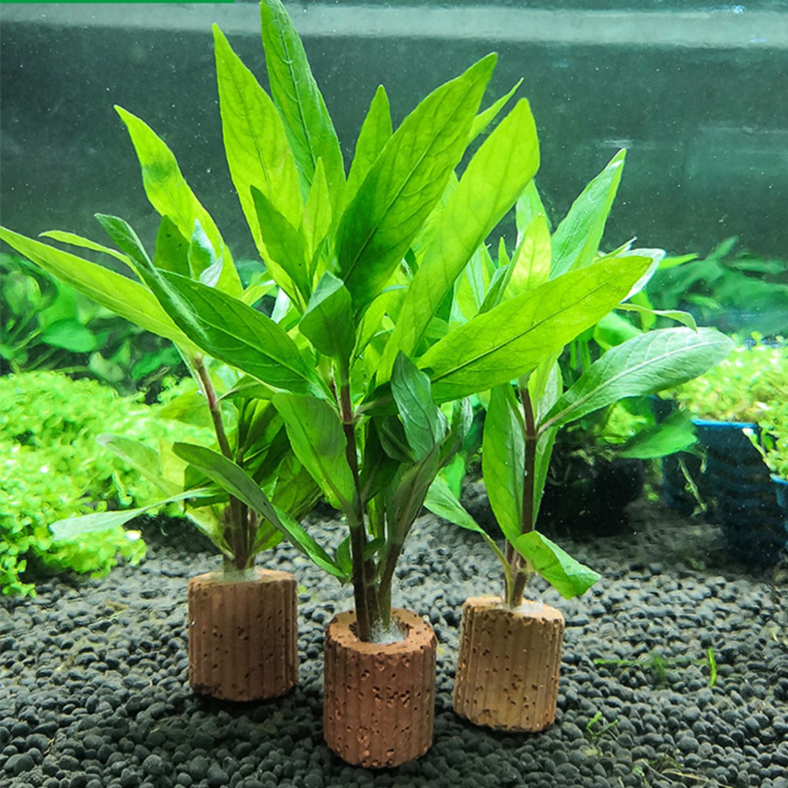 30 stuks aquariumringen, waterplanten, aquarium, filterringen, aquaria, decoratieve accessoires voor aquaria, keramische ringen, waterflora, landschapsarchitectuur, waterplanten, vaste ringen