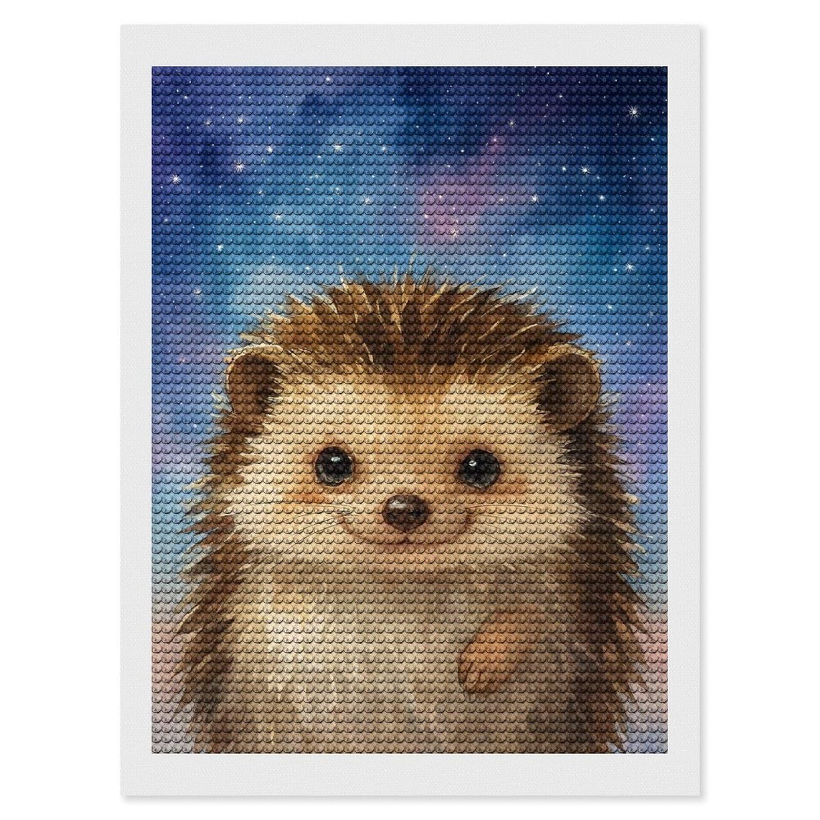 Junmoney Watercolor Hedgehog in Starry Sky Full Drill Diamond Painting Kit 12"x16", Sparkling Round Gems, Decorate Your Room, Mindful Craft Activity