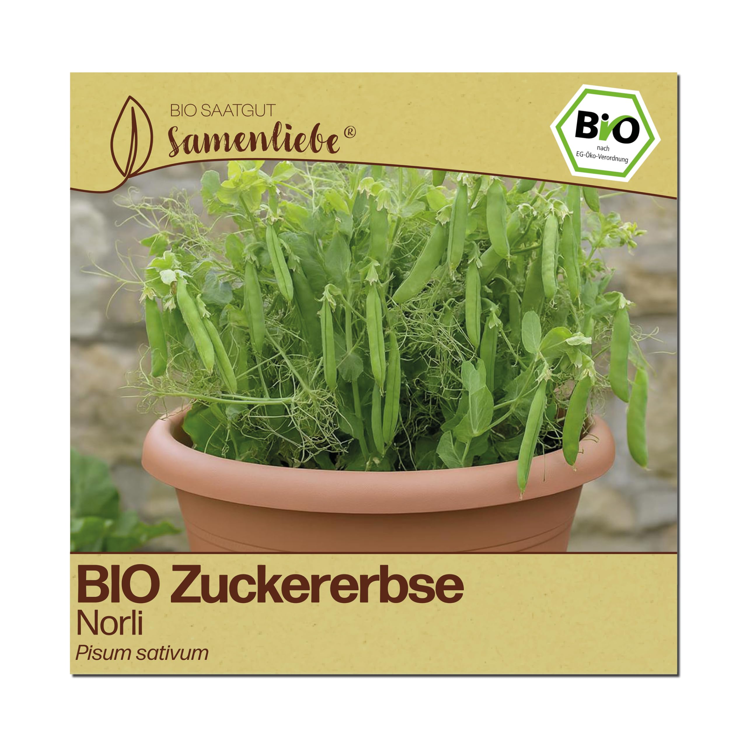 Samenliebe BIO Zuckererbsen Samen | Erbse Norli - fadenlos & kompakt - samenfestes BIO Saatgut