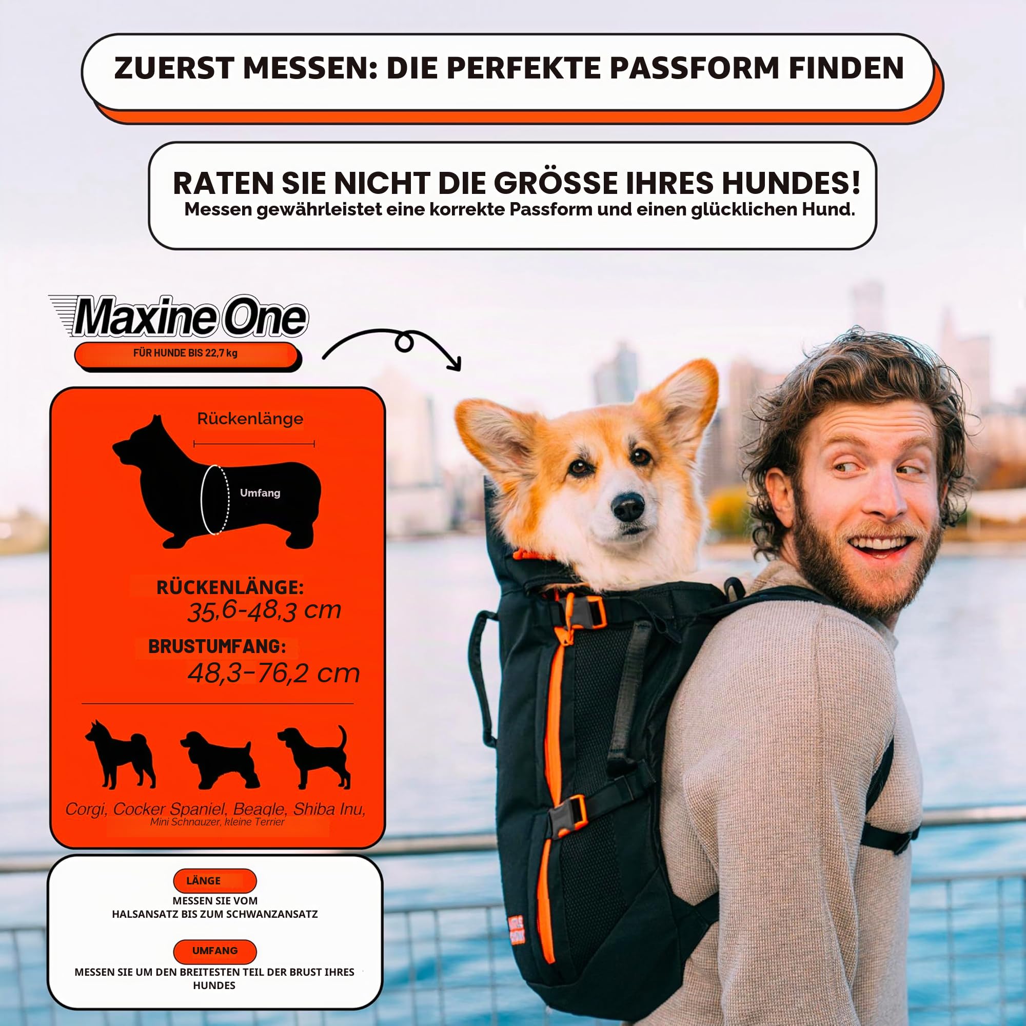 The Maxine One Medium Hunde-Tragerucksack von Little Chonk, für mittelgroße Rassen, verstellbare Haustier-Tragetasche, nach vorne zeigend, für Reisen, Wandern, Schwarz (Bark After Dark)