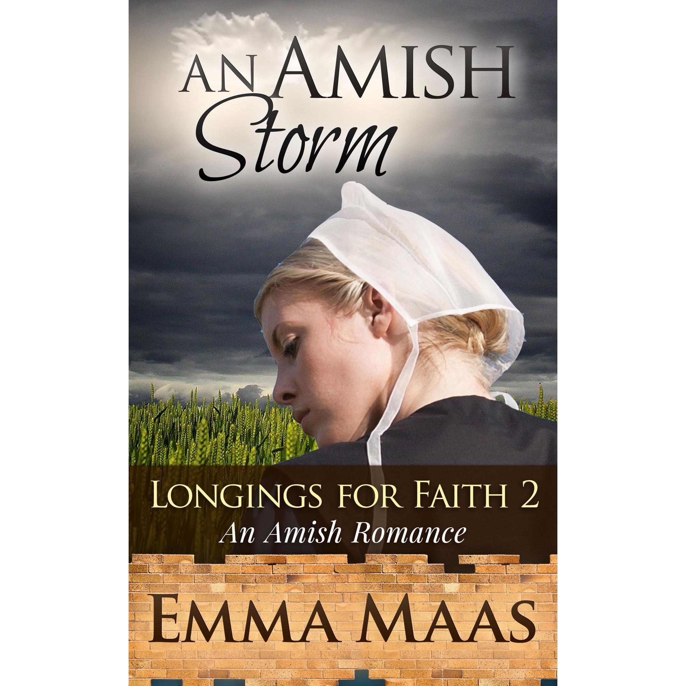An Amish Storm