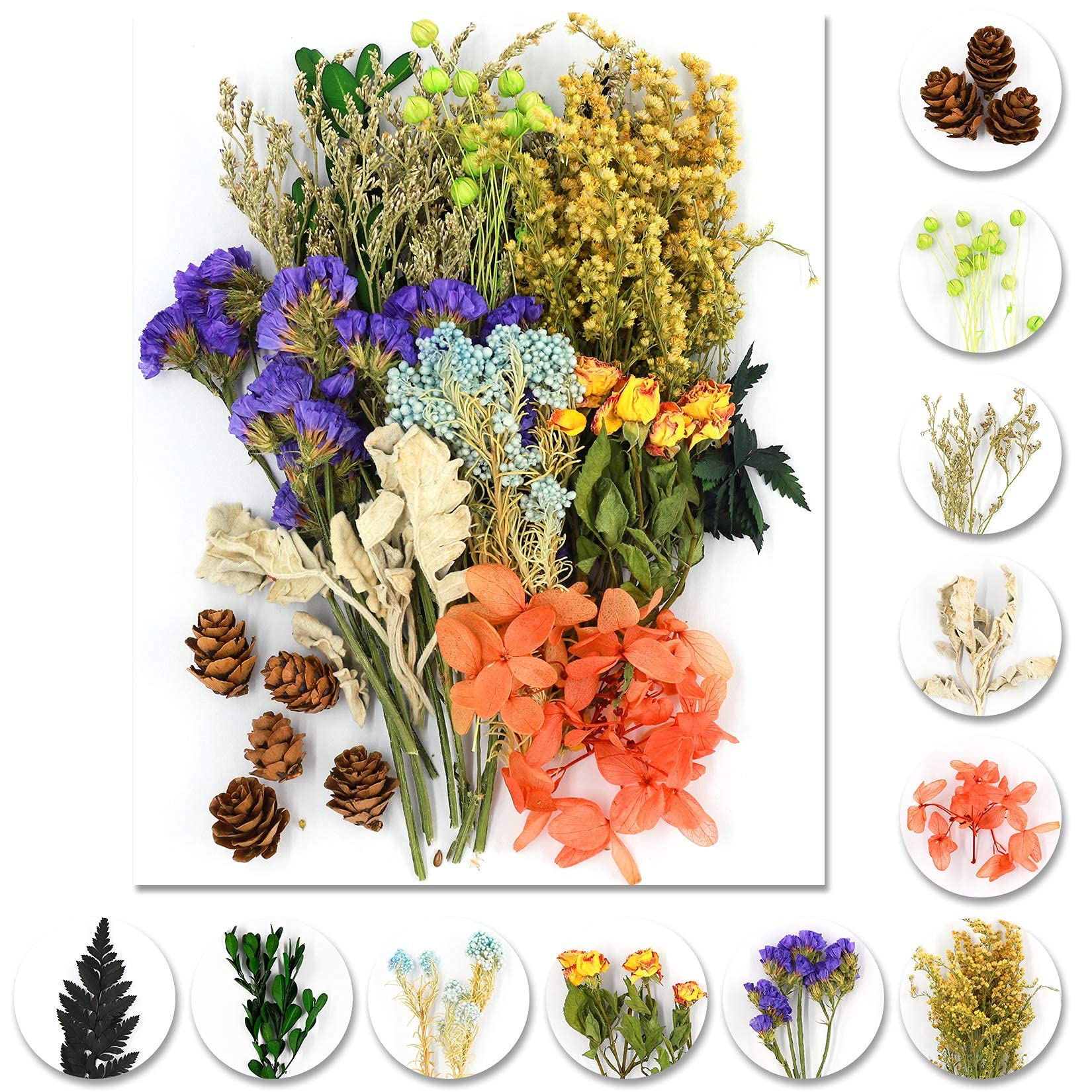 iDattel Natürliche Getrocknete Blumen,Blumen Natürliche Gemischte,DIY Natürliche Getrocknet Blumen Set für Kunst Basteln DIY Harz Scrapbooking Handwerk Karten Machen