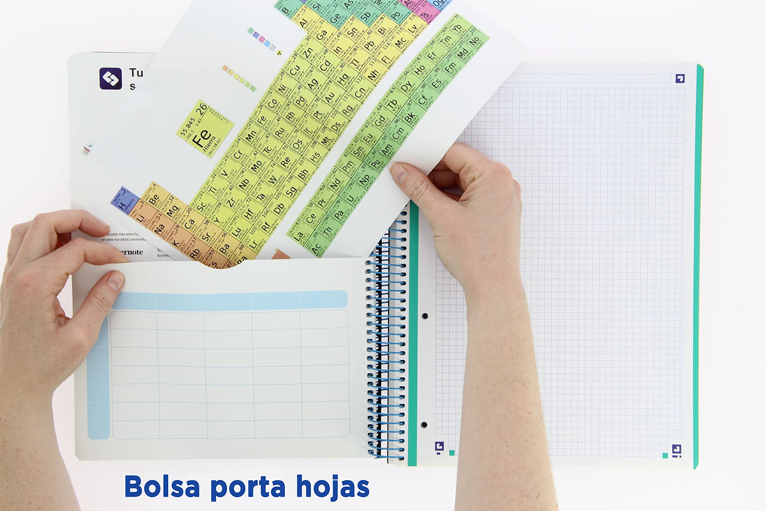 Confezione da 5 fogli Europeanbook-8 a spirale, copertina in plastica A4+, quadretti 5 x 5, blu
