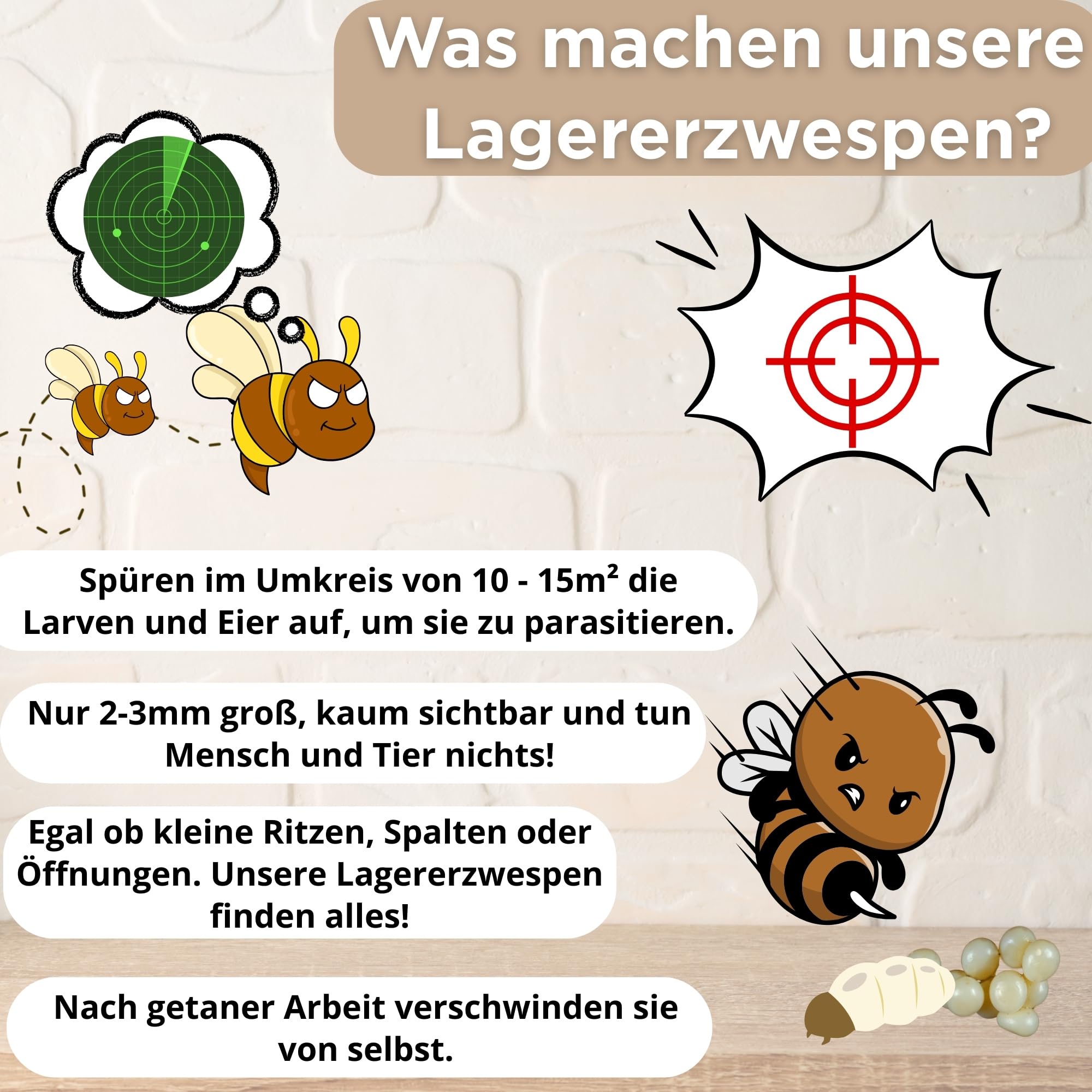 Lagererzwespen gegen Brotkäfer, Kornkäfer & Messingkäfer – 1 Röhrchen à 40 Nützlinge – Biologische Alternative zur Brotkäfer Falle – 100% chemiefrei – Made in Germany