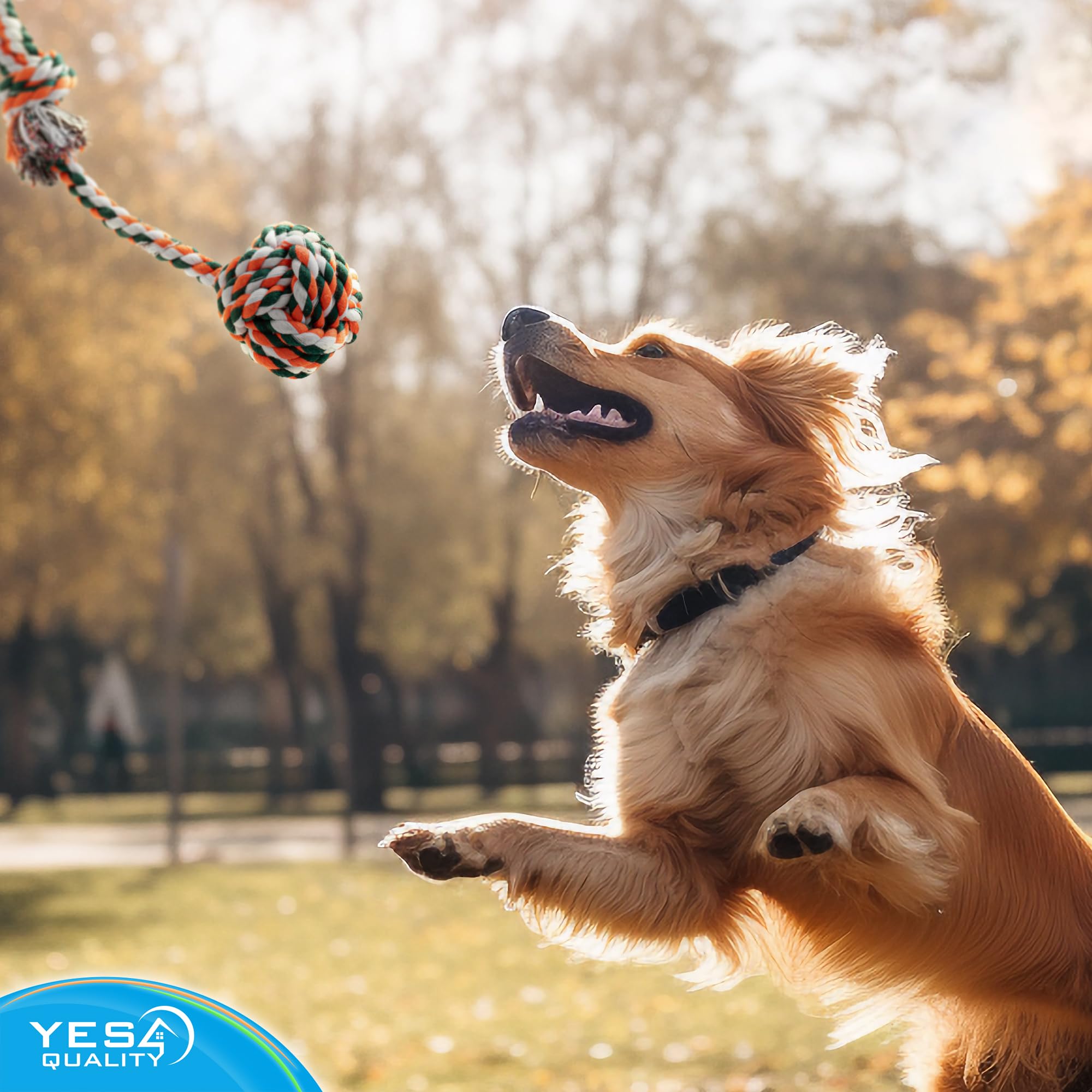 Yes4Quality Bungee Giocattolo da Appendere per Cani, Corda Interattiva Blu da Rimorchio con Kit di Molle in Metallo e 2 Giochi in Corda, Attrezzatura per Esercizi Pesanti per Cani