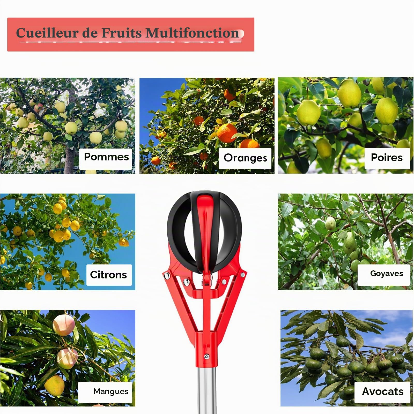 AMUFJJ cueille Fruit telescopique Pomme Pince À Fruits Télescopique en Aluminium, pour Mangues, Avocats, Oranges, Pêches Et Figues, avec Ouverture De 15 Cm.(3.3ft (1m) - 4.9ft (1.5m))