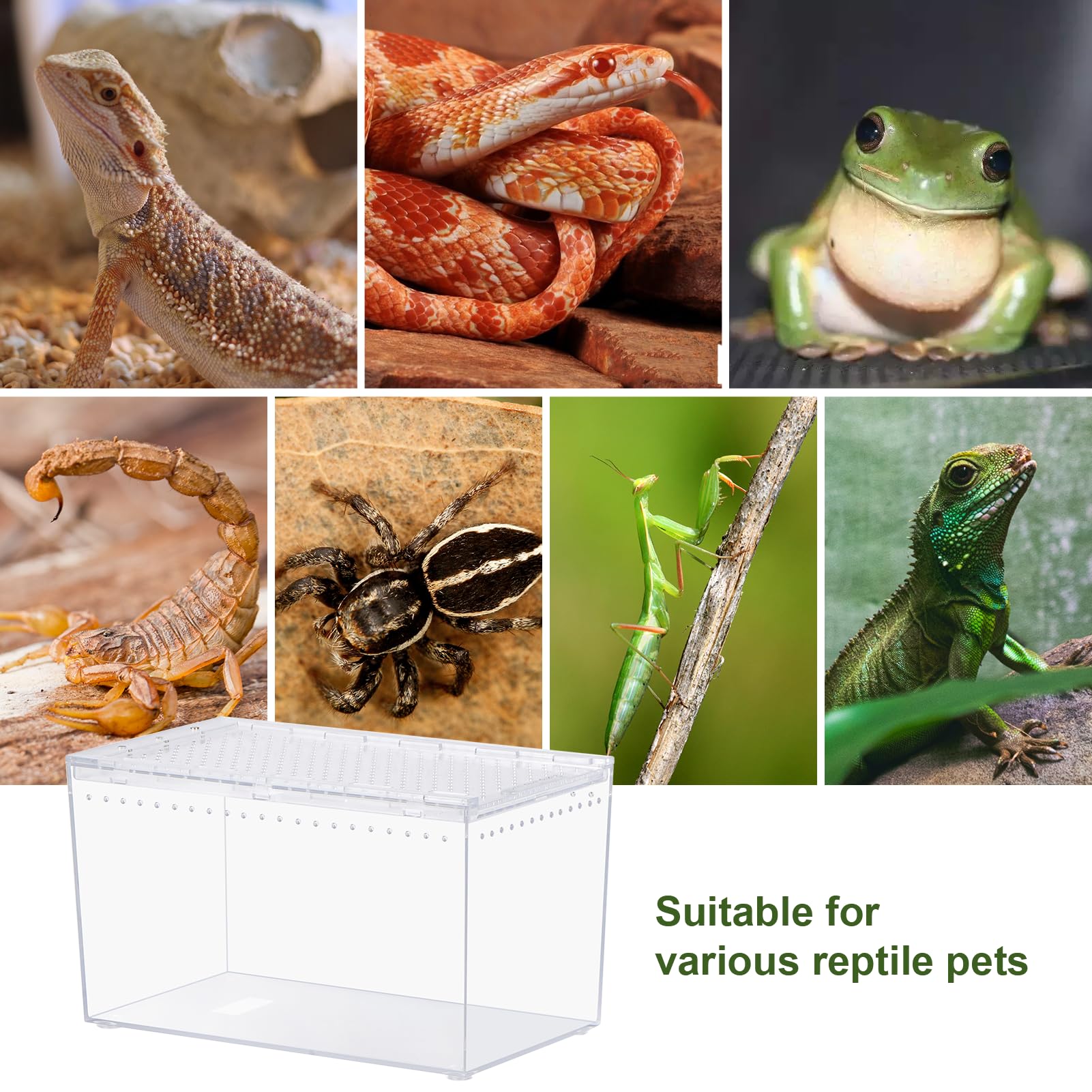 Terrario de PC para reptiles de 10.2 x 5.9 x 5.7 pulgadas, kit de inicio de tanque de reptiles para acuario de reptiles para plantas de insectos, peces, geco, araña, hábitat, anfibios, recinto con