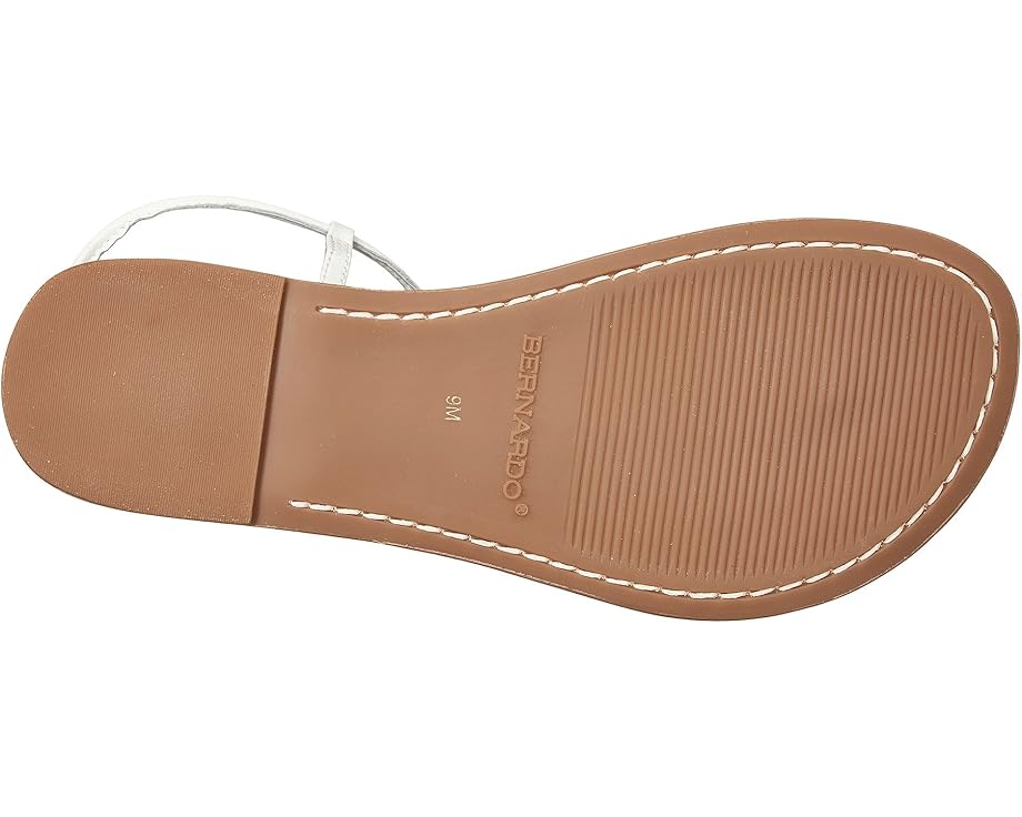 Bernardo Lilly - Bottom View