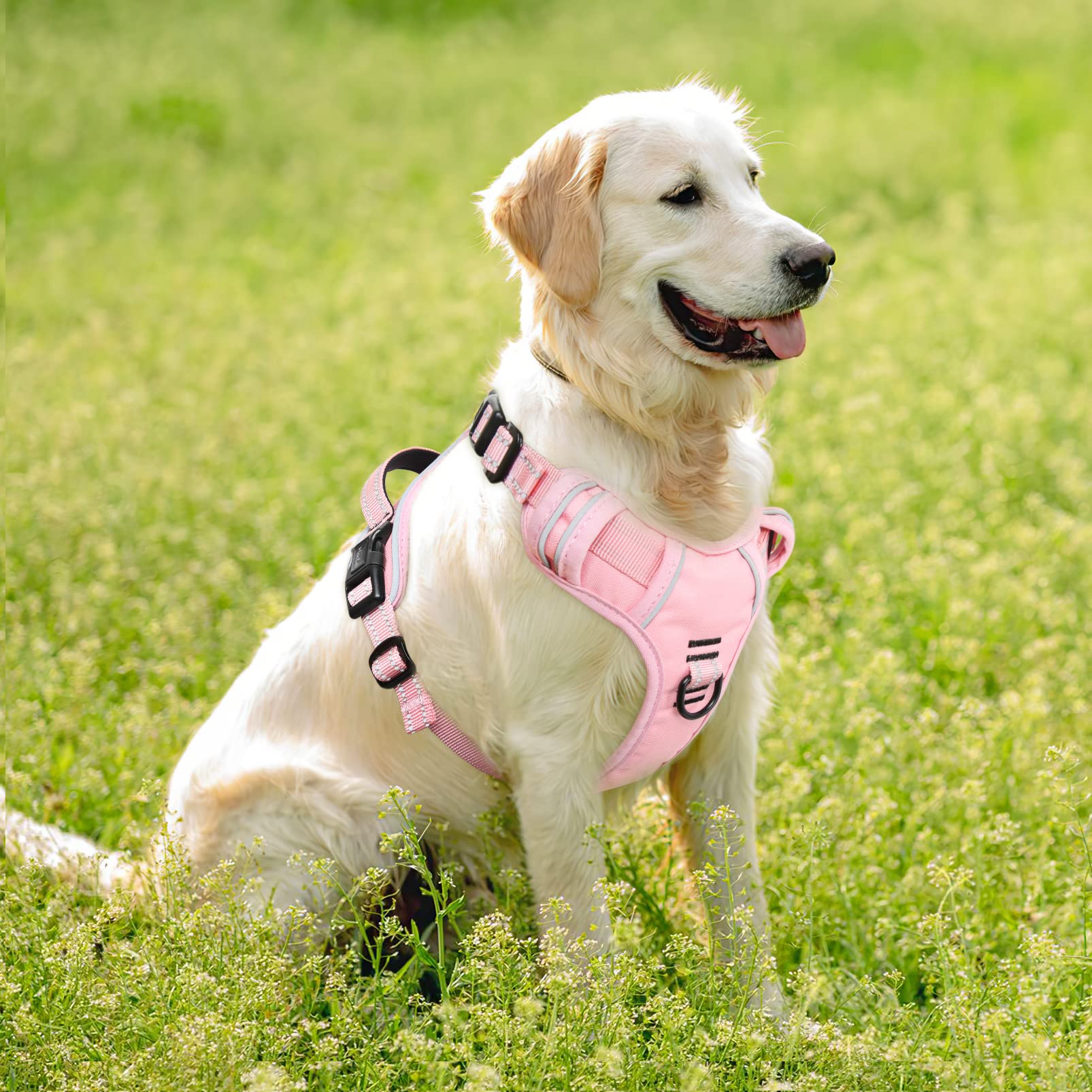 HEELE Pettorina Cane, Imbracatura Sganciata Rapido dal Collo, Pettorina Anti-tiro Riflettente e Regolabile con Maniglia Comoda, Morbida e Imbottita per Cani Piccola Media Grande, Rosa Chiaro XL