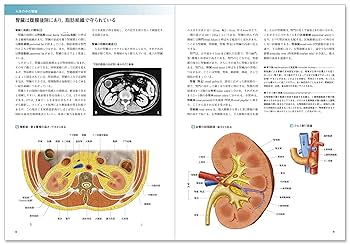 カラー図解 人体の正常構造と機能〈5〉腎・泌尿器【改訂第4版