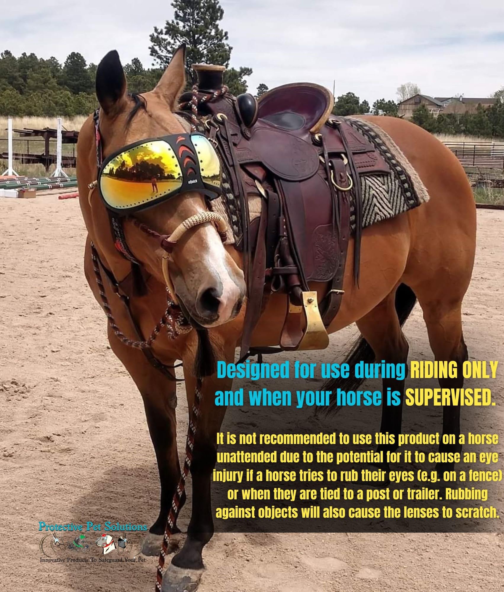 UV Protection Horse Riding Goggles by eQuick it - Mirrored Orange Lenses product thumbnail 5