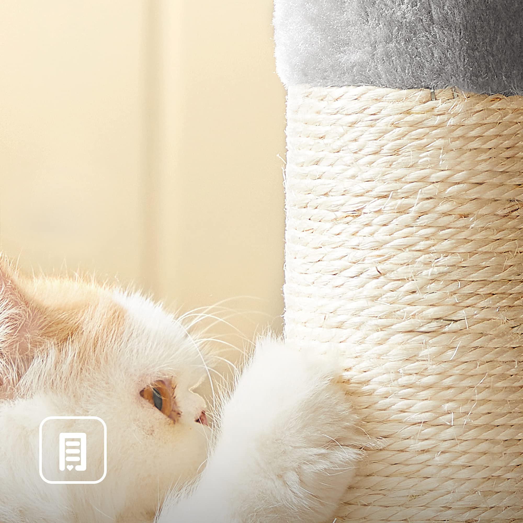 FEANDREA Cat Tree, Compact Cat Condo with 2 Caves, Light Grey PCT61W