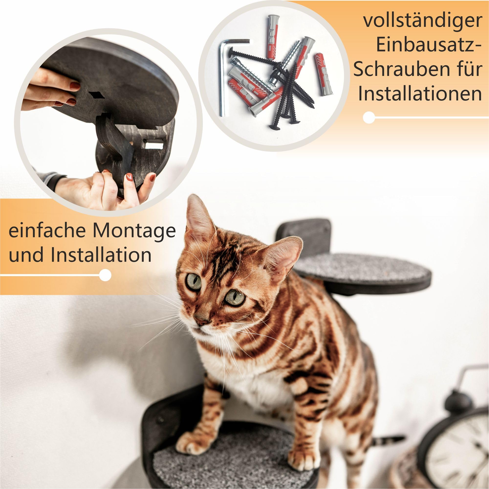 Cat Shelves Set Steps Wooden Cat Climbing Shelf For Wall Cat