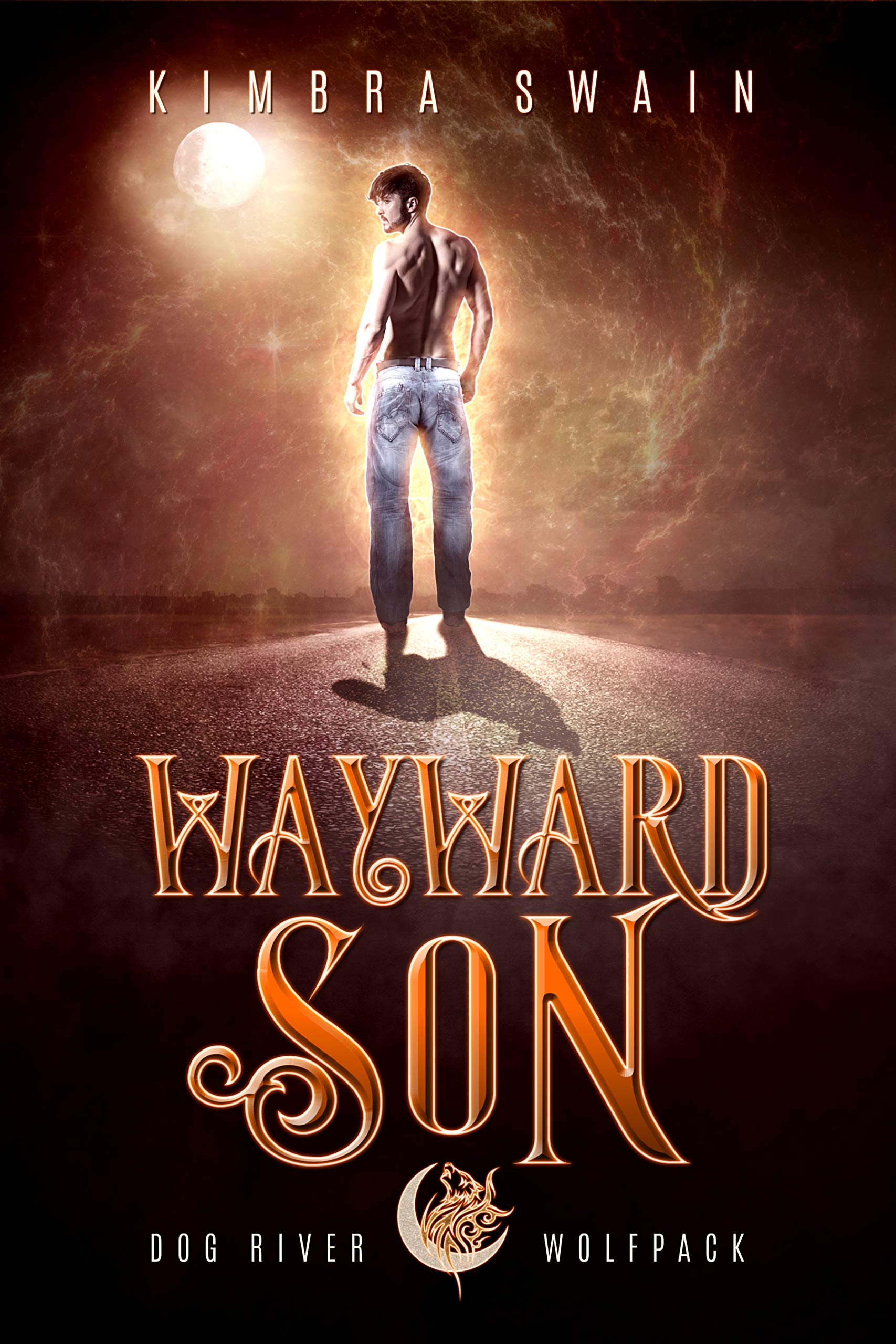 Book cover for Wayward Son