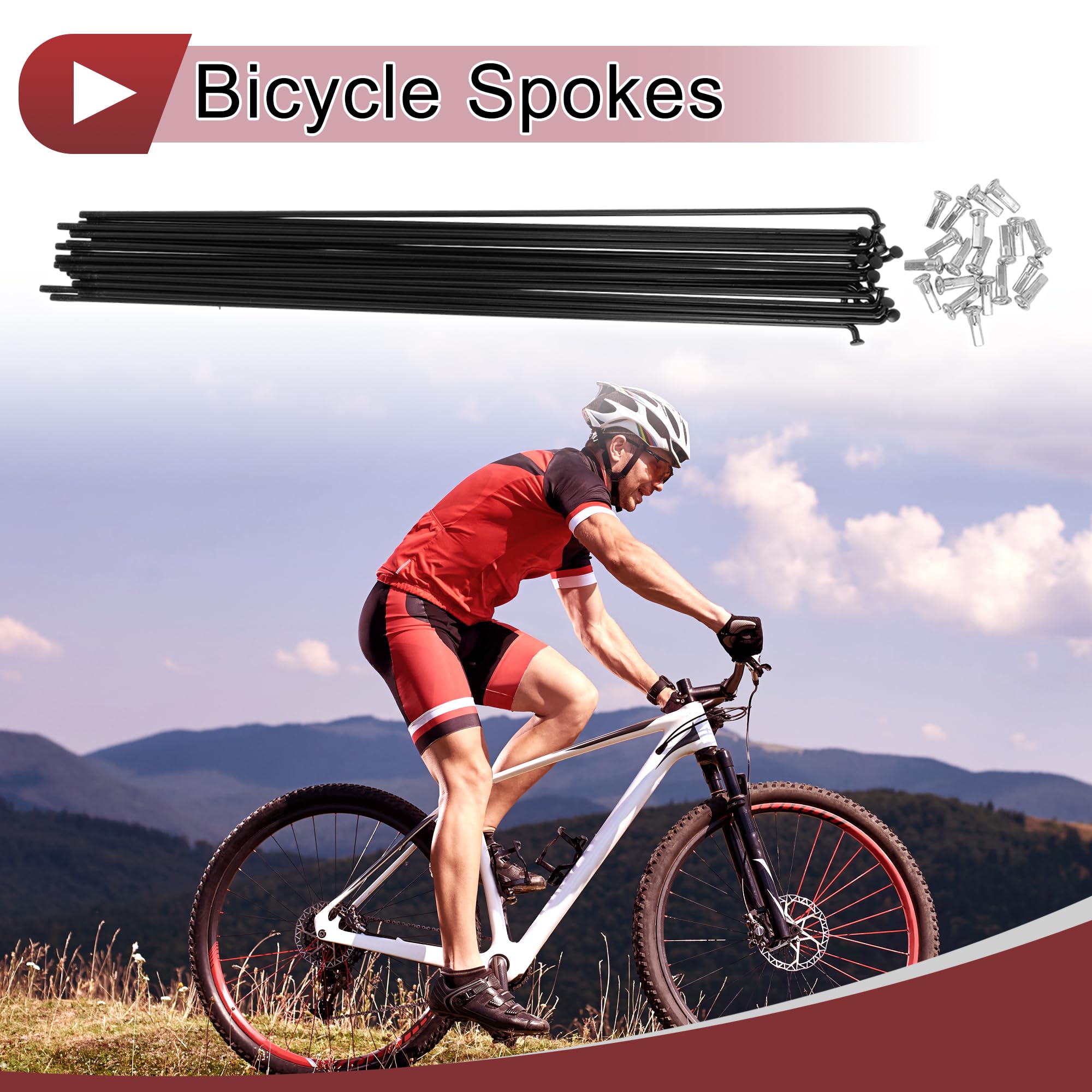 20 Set 12G Bici Raggio 295mm Bici Ruota Raggio Acciaio Carbonio Nero
