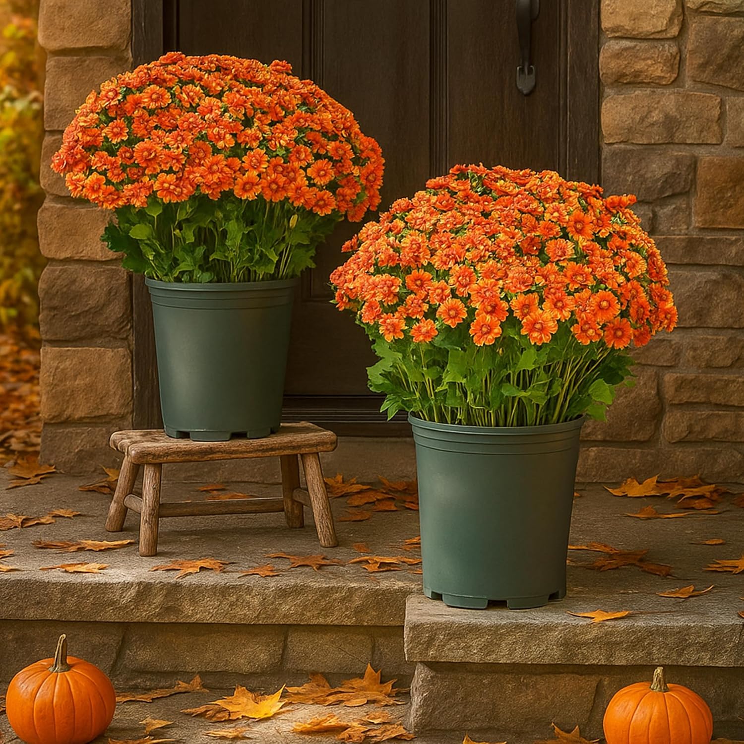 10 Bundles Artificial Mums - Artificial Outdoor Sunset Flowers, UV Resistant, Waterproof, Windproof, Look Real for Front Door Porch Patio Yard Balcony (10 Bundle of Orange)
