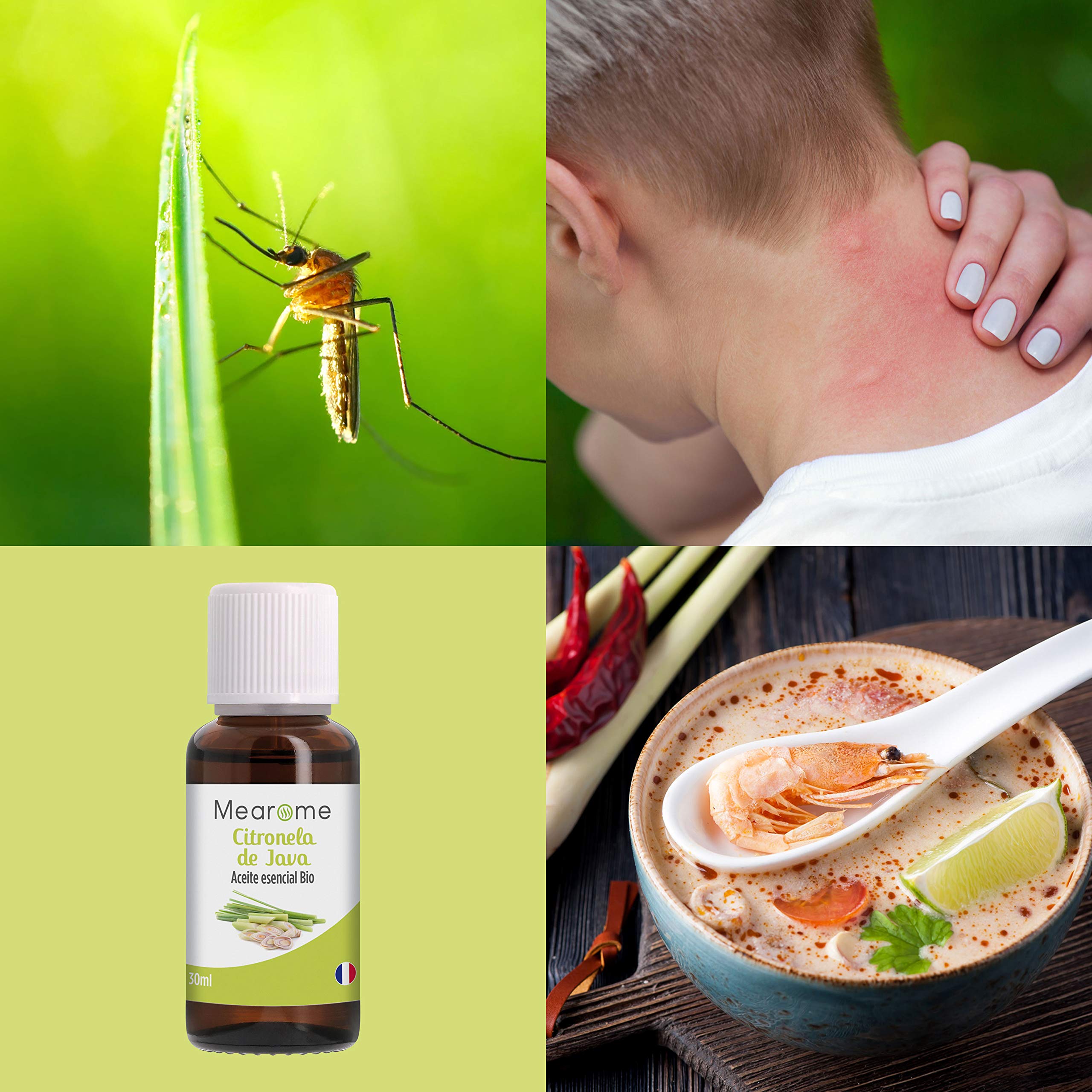 PLASTIMEA - Aceite Esencial Puro 100% Natural y Bio, Repelente Insectos Anti mosquitos, Fabricado en Francia Natural Insectos, Aroma Citronela de Java, 30 ml