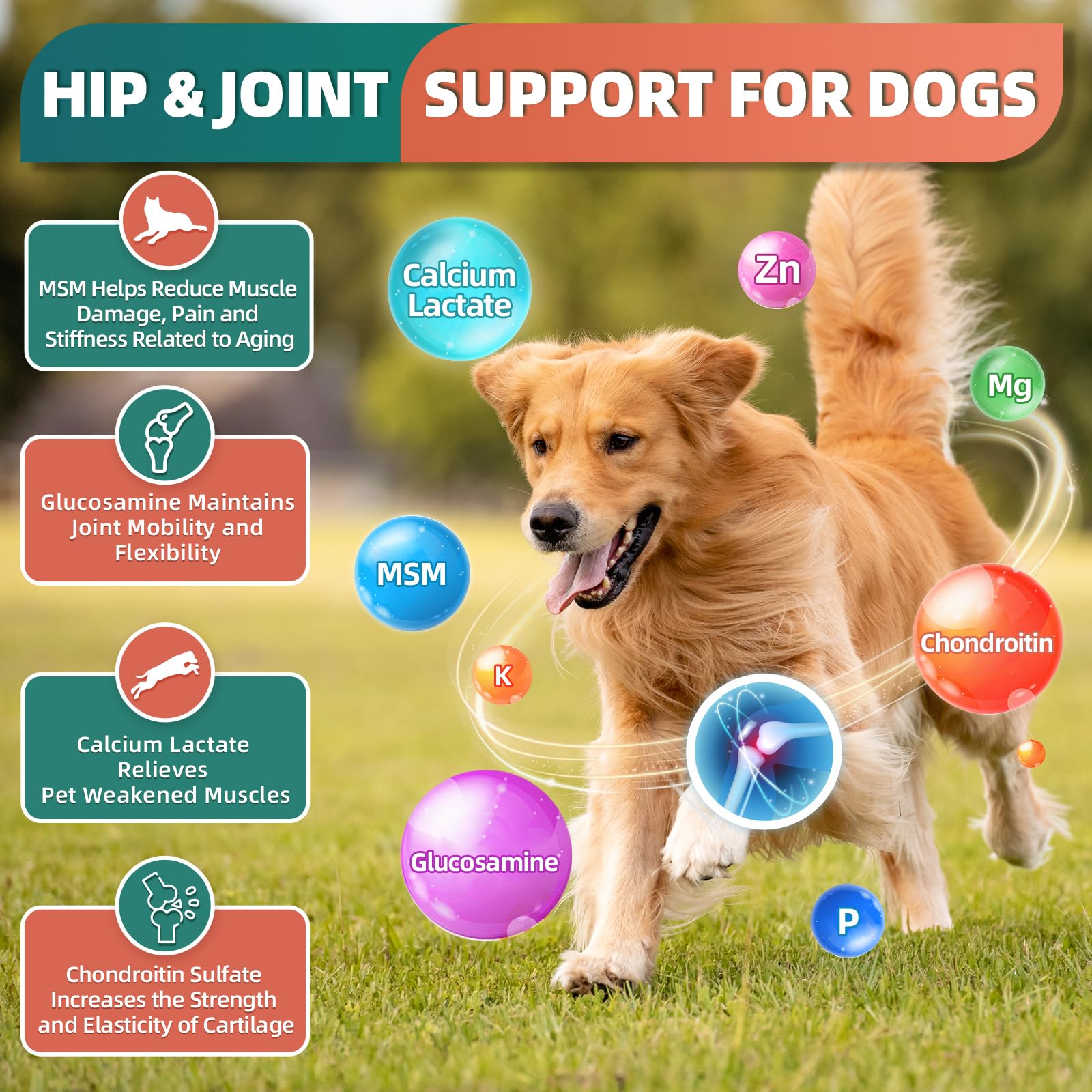 Dog Multivitamin, Dog Vitamins and Supplements, Multivitamin for Dogs with Glucosamine, Probiotics & Omega 3 for Joint, Digestive, Skin, Coat and Immune Health, Chicken Flavor - 180 Bites - image 5