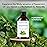 Majestic Pure Essential Oil with Glass Dropper - 100% Pure and Natural - Essential Oils for Diffuser, Aromatherapy, Soap and Candle Making, Peppermint Essential Oil, Peppermint Oil, 1 Fl Oz