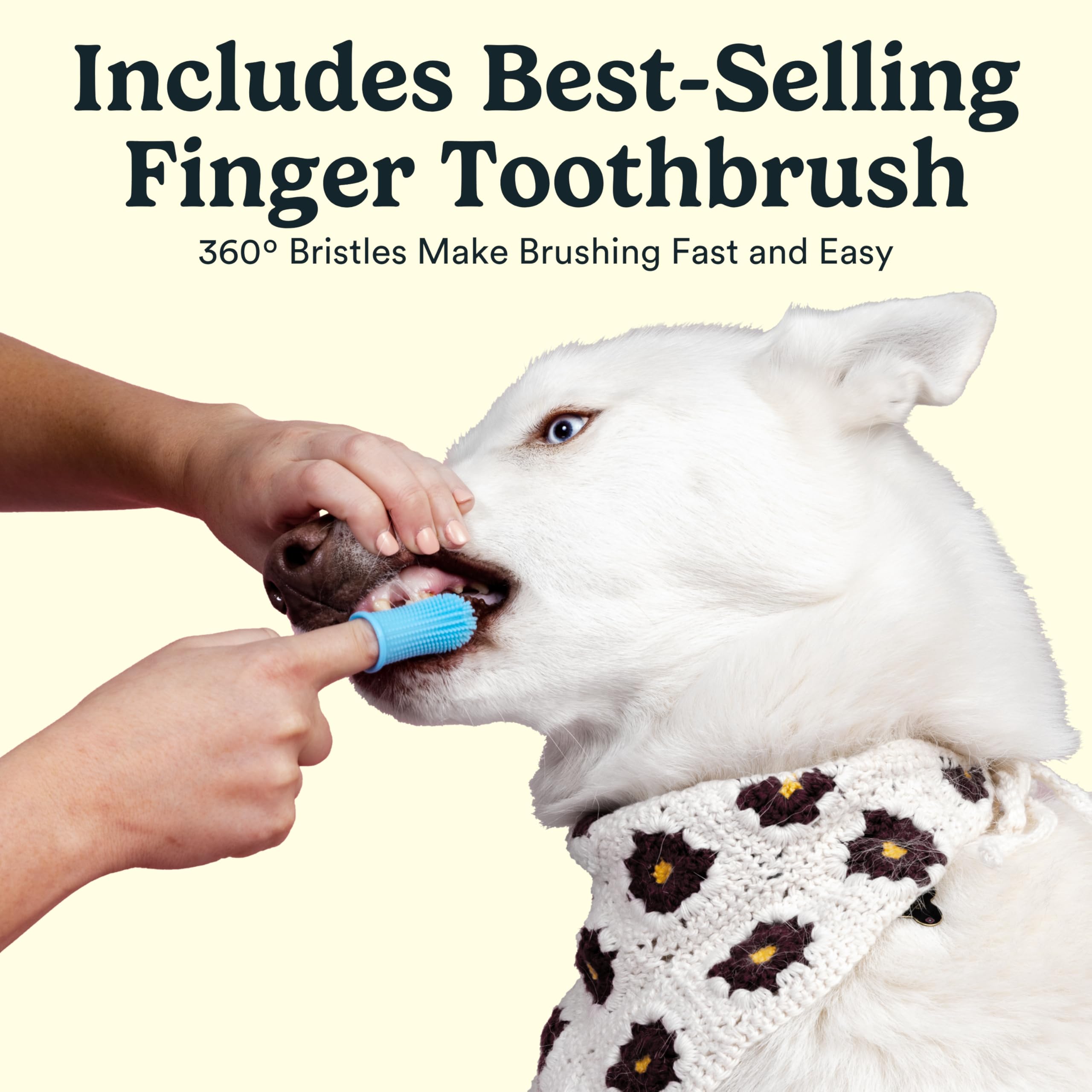 Jasper Kit di spazzolatura dei denti per cani e kit di dentifricio per cani 360 Spazzolino da denti per cani Rimozione enzimatica della placca Imporve alito cattivo Dentifricio naturale per animali