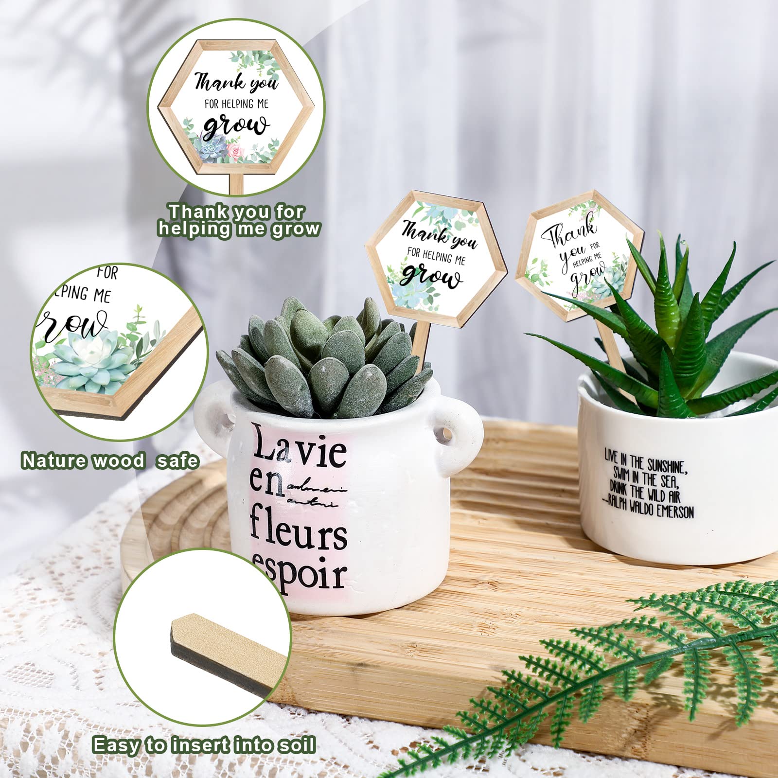 Amazon.com: 48 Pcs Thank You for Helping Me Grow Succulent Tags Teacher  Appreciation Gifts Hexagon Wooden Plant Stakes Label Garden Marker Plant  Sign for Teacher's Day Xmas Thanksgiving (Teacher Style) : Patio,