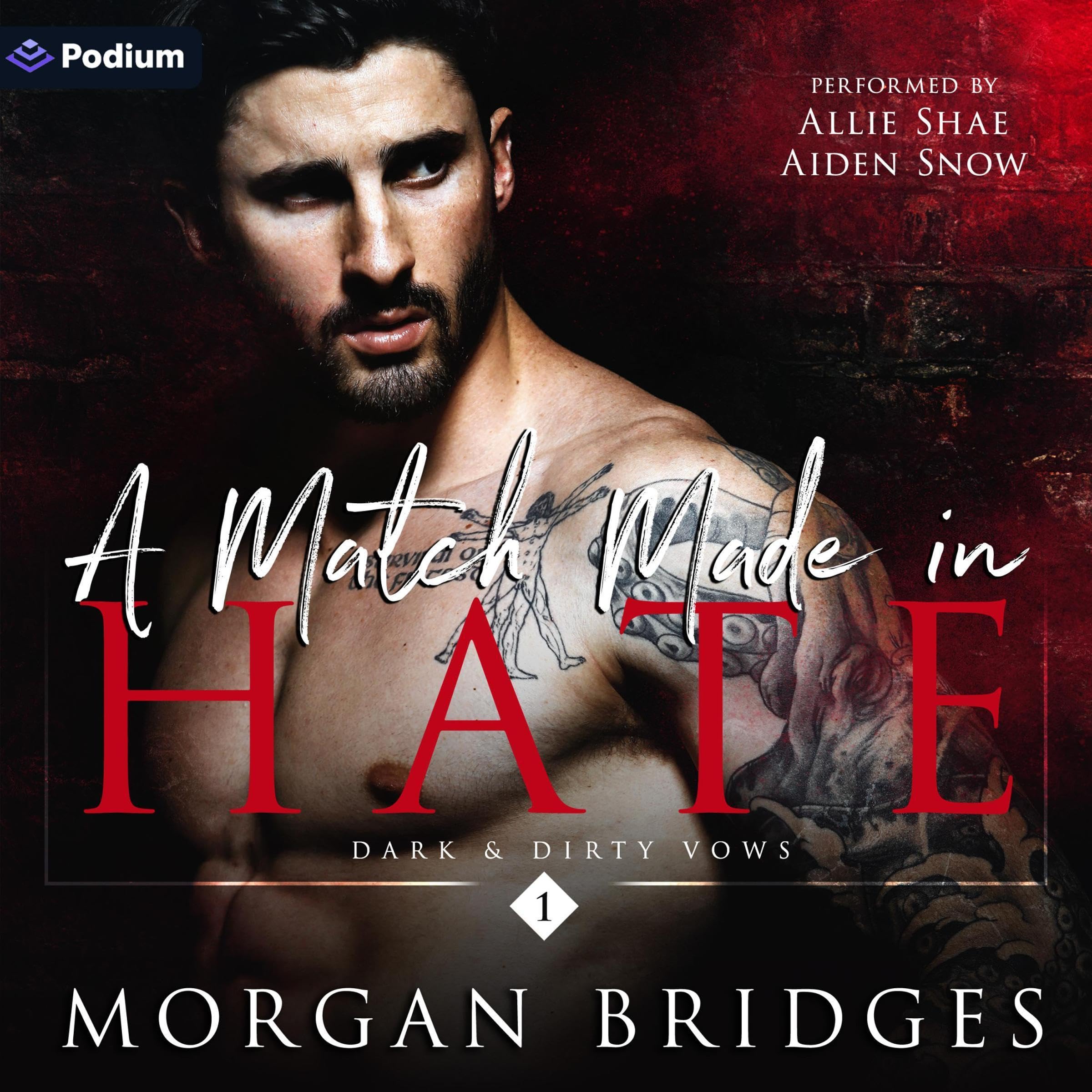 Cover art for A Match Made in Hate