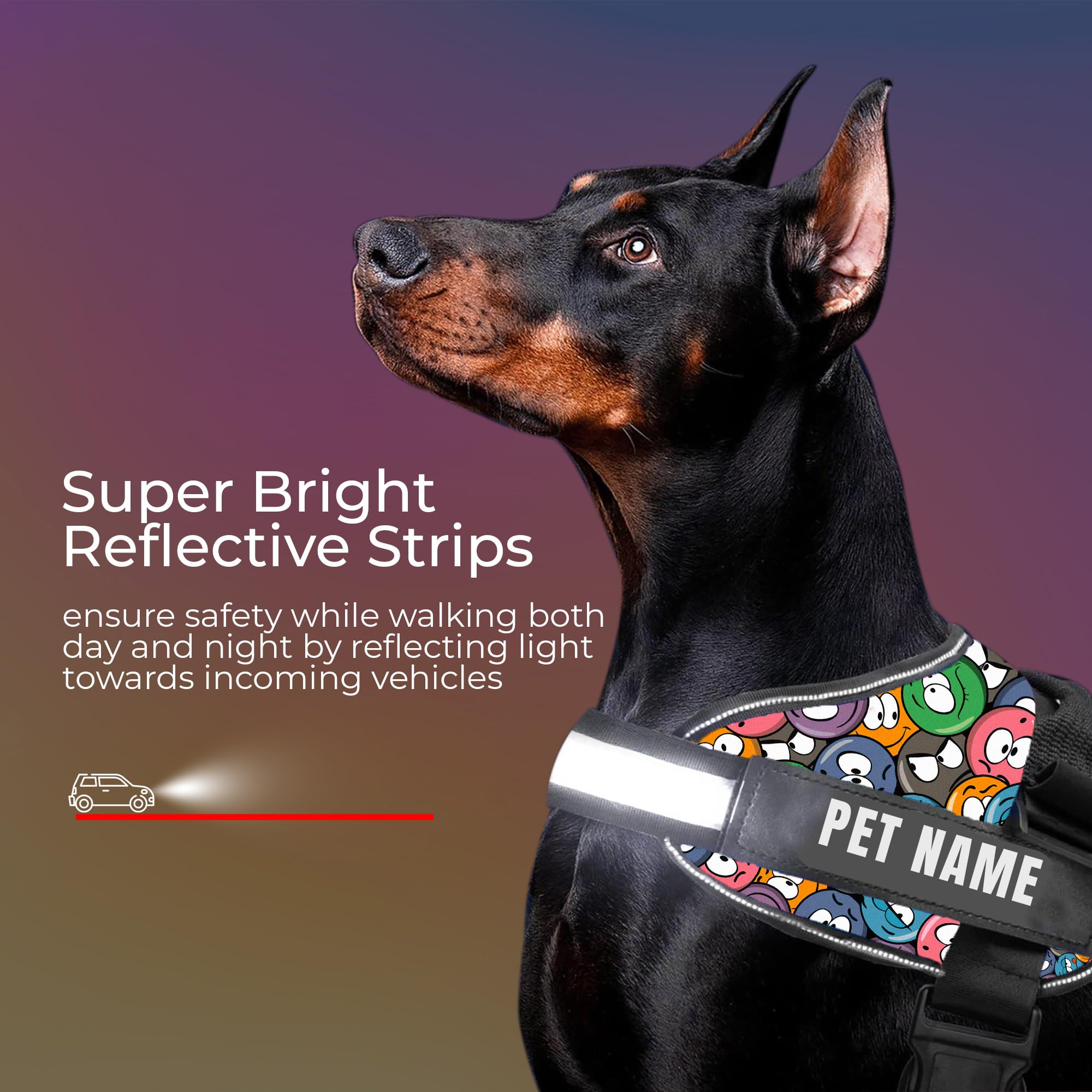 KIKA Arnés personalizado para perro | Arnés para perro con nombre | Arnés de chaleco personalizado para perro, tamaño grande (para 21-35 kg) Groovy Emoji