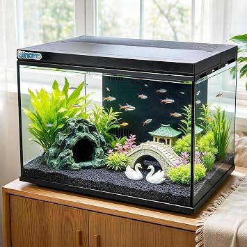 5 Gallon Fish Tank kit, Ideal Aquarium for Betta & Goldfish Tank